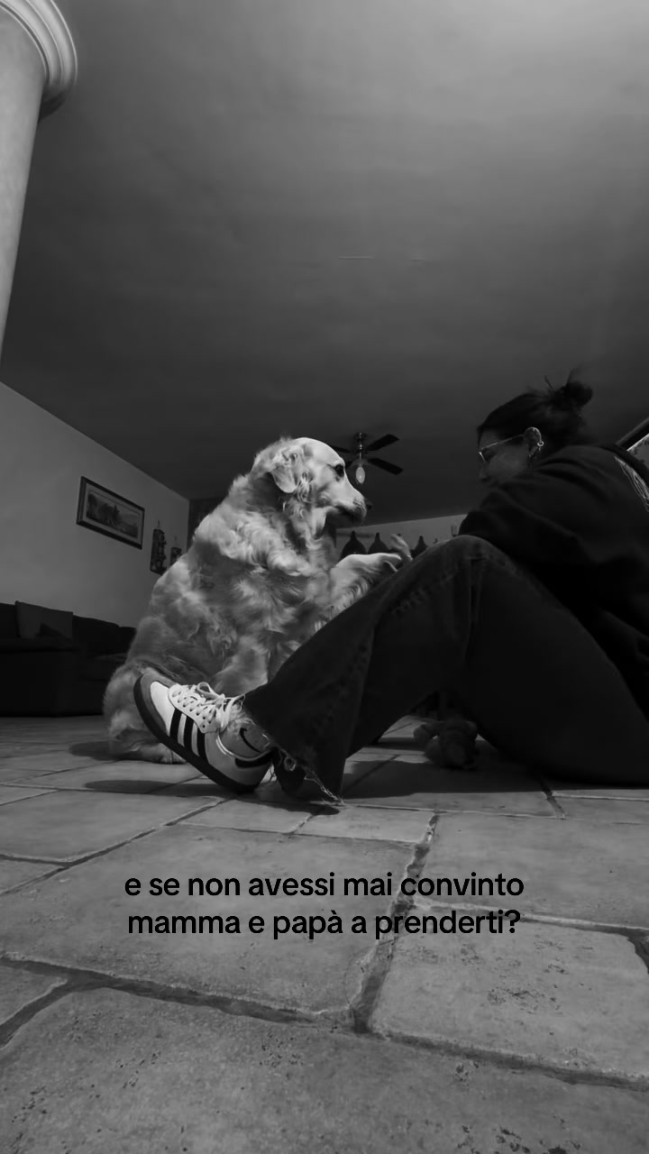@legarialessandra__