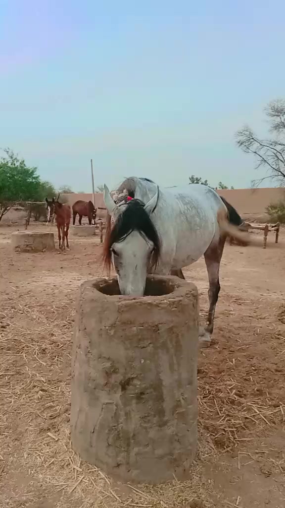 @Rind Ali