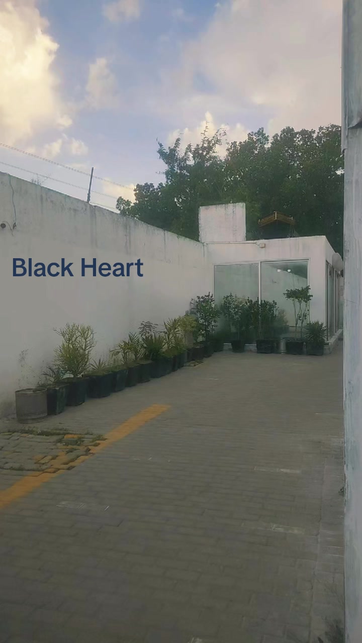 @☬⋆BLACK༒HEART⋆☬⋆