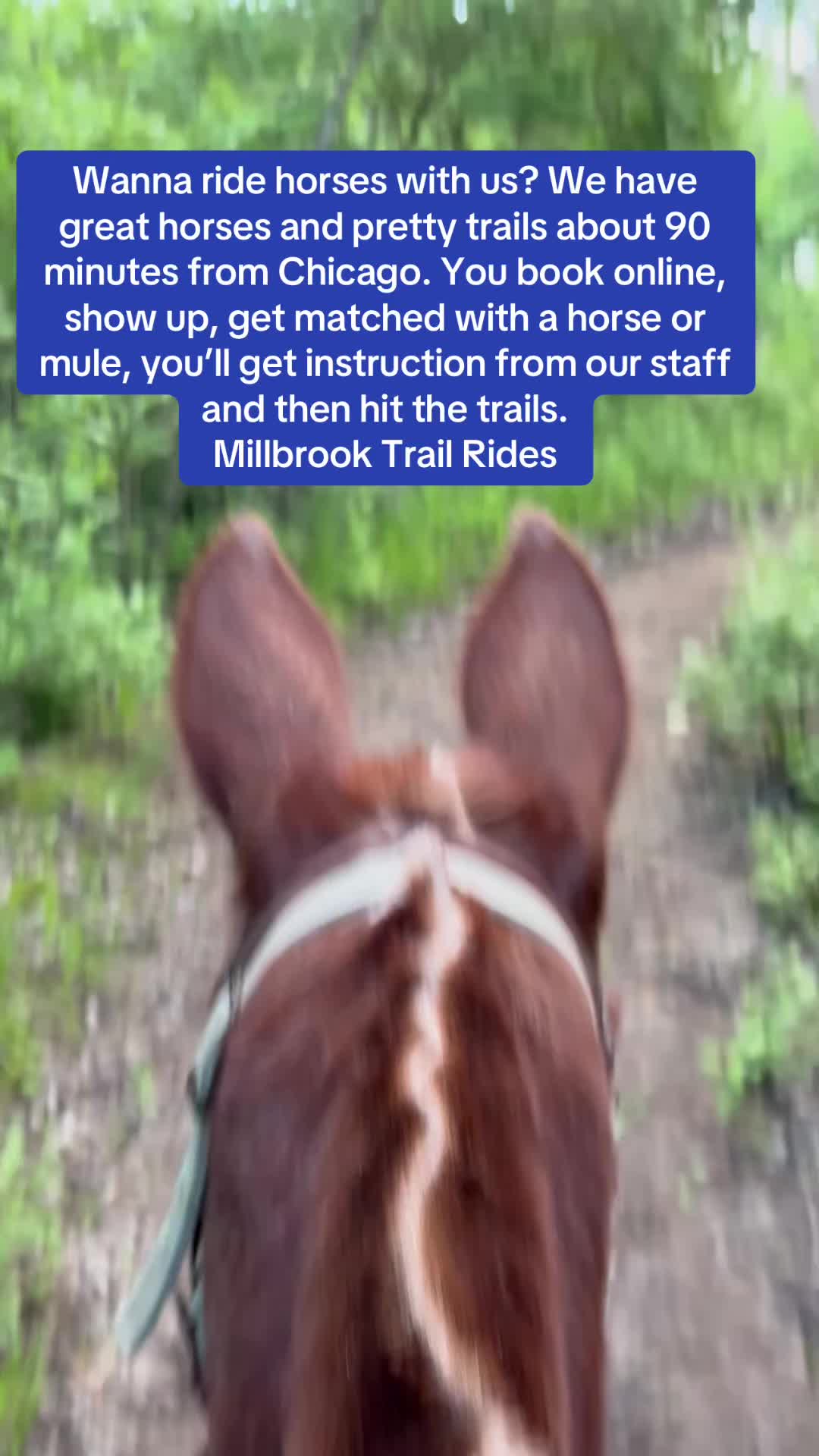 @Millbrook Trail Rides