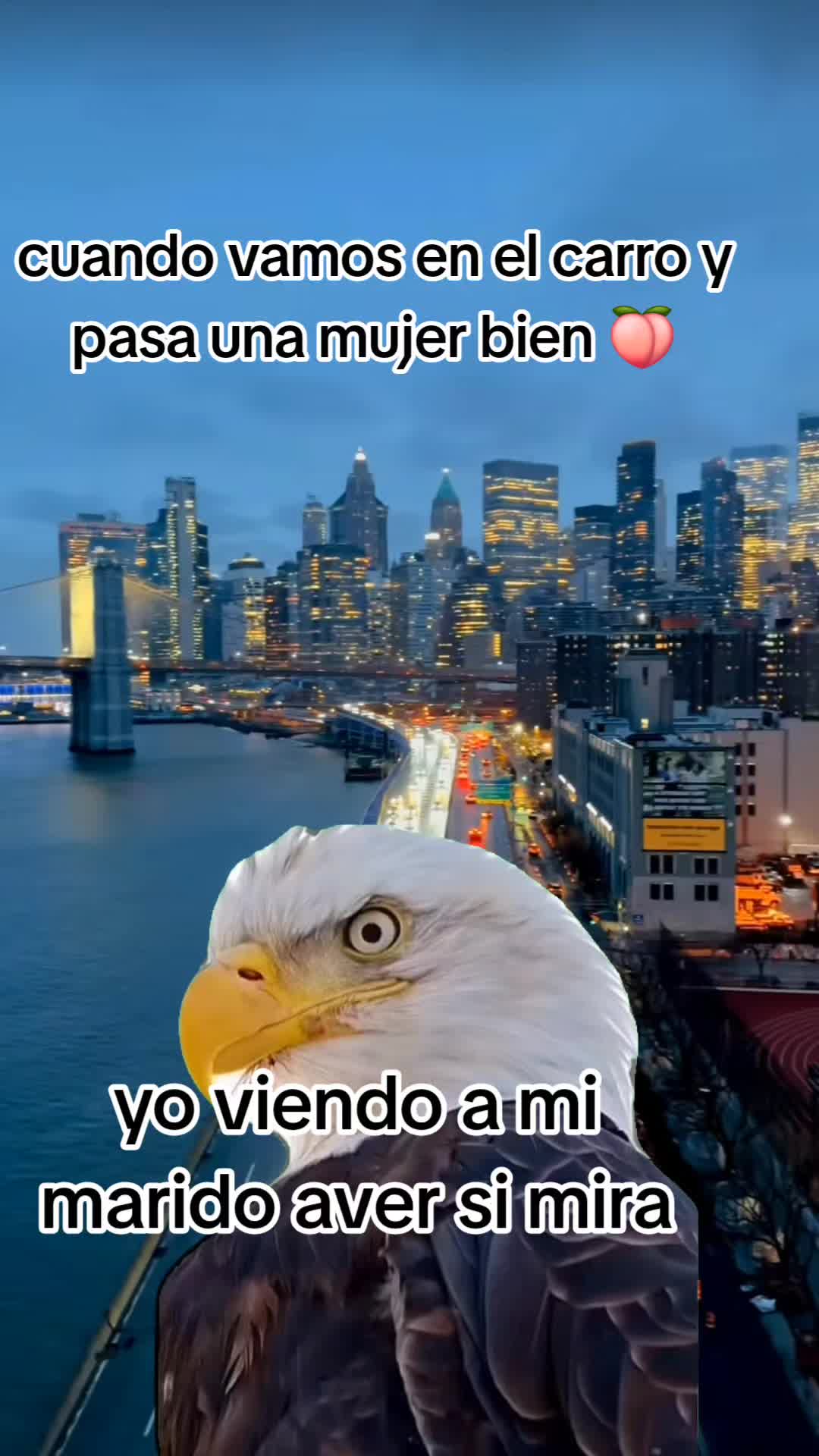 @Manuel❤️ceci