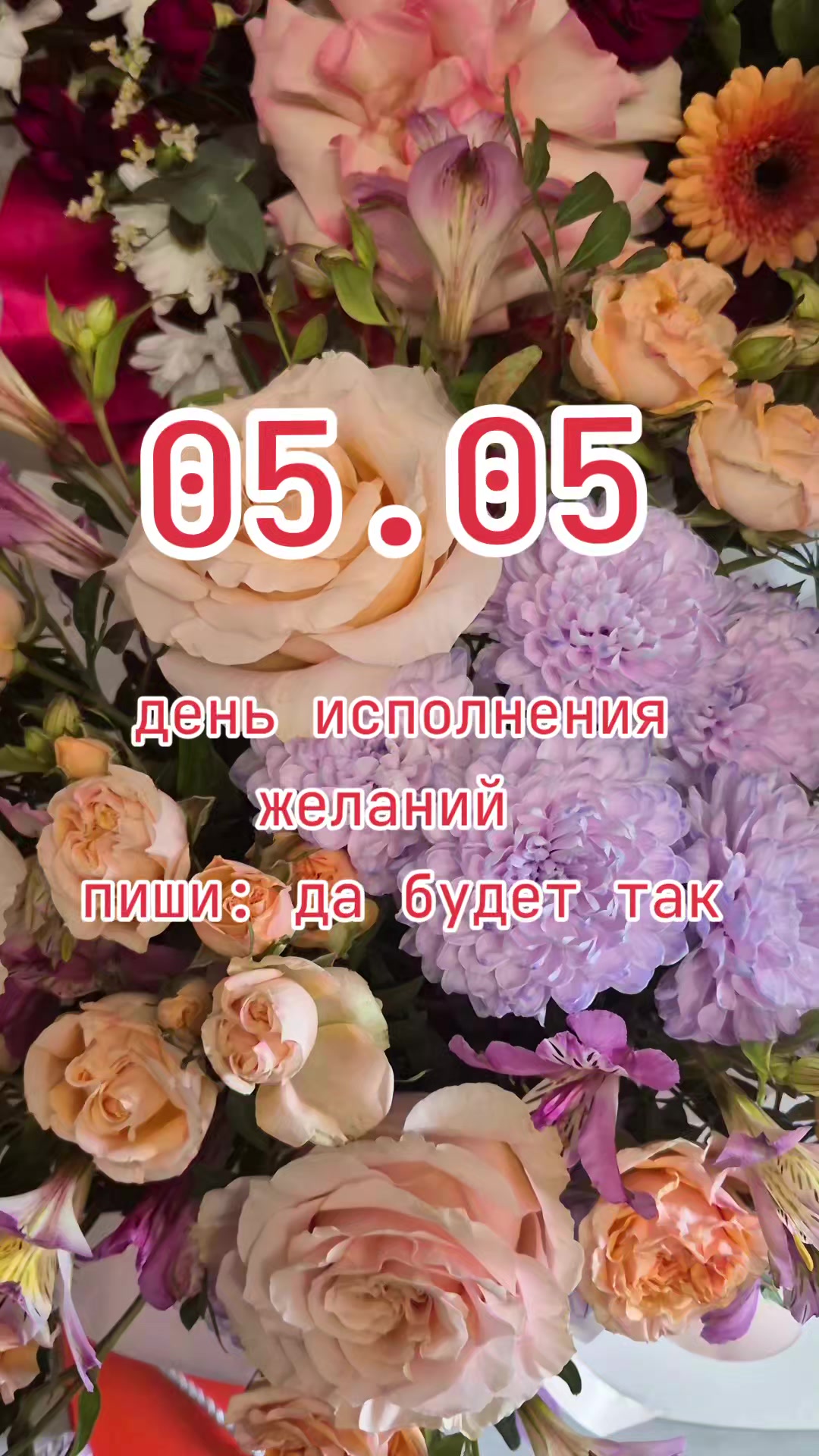 @🌷Лавандыш🌷