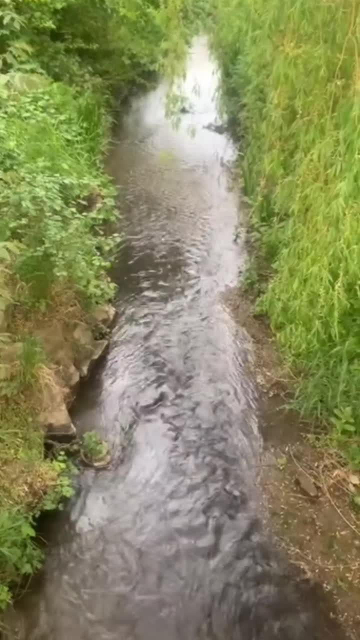 @ሳምሶን መከዳሺ 858
