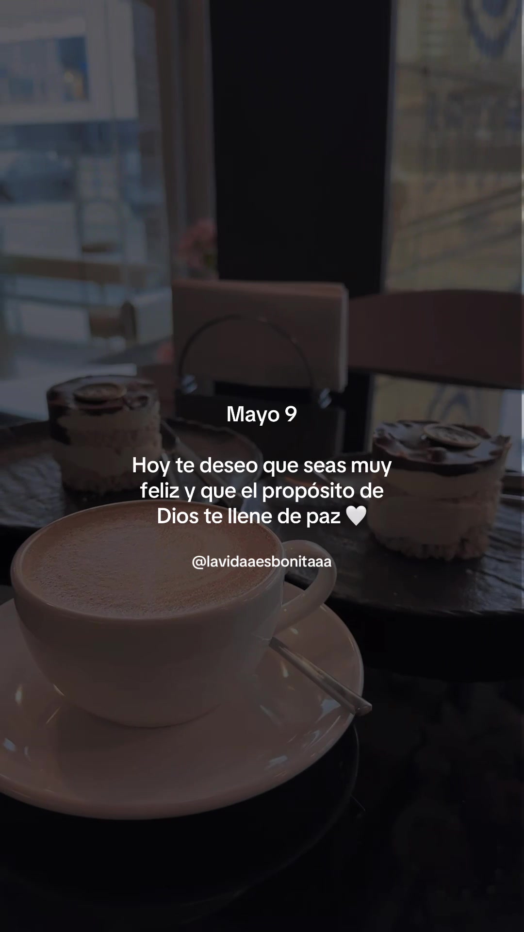 @vidabonita❤️&zwj;🩹