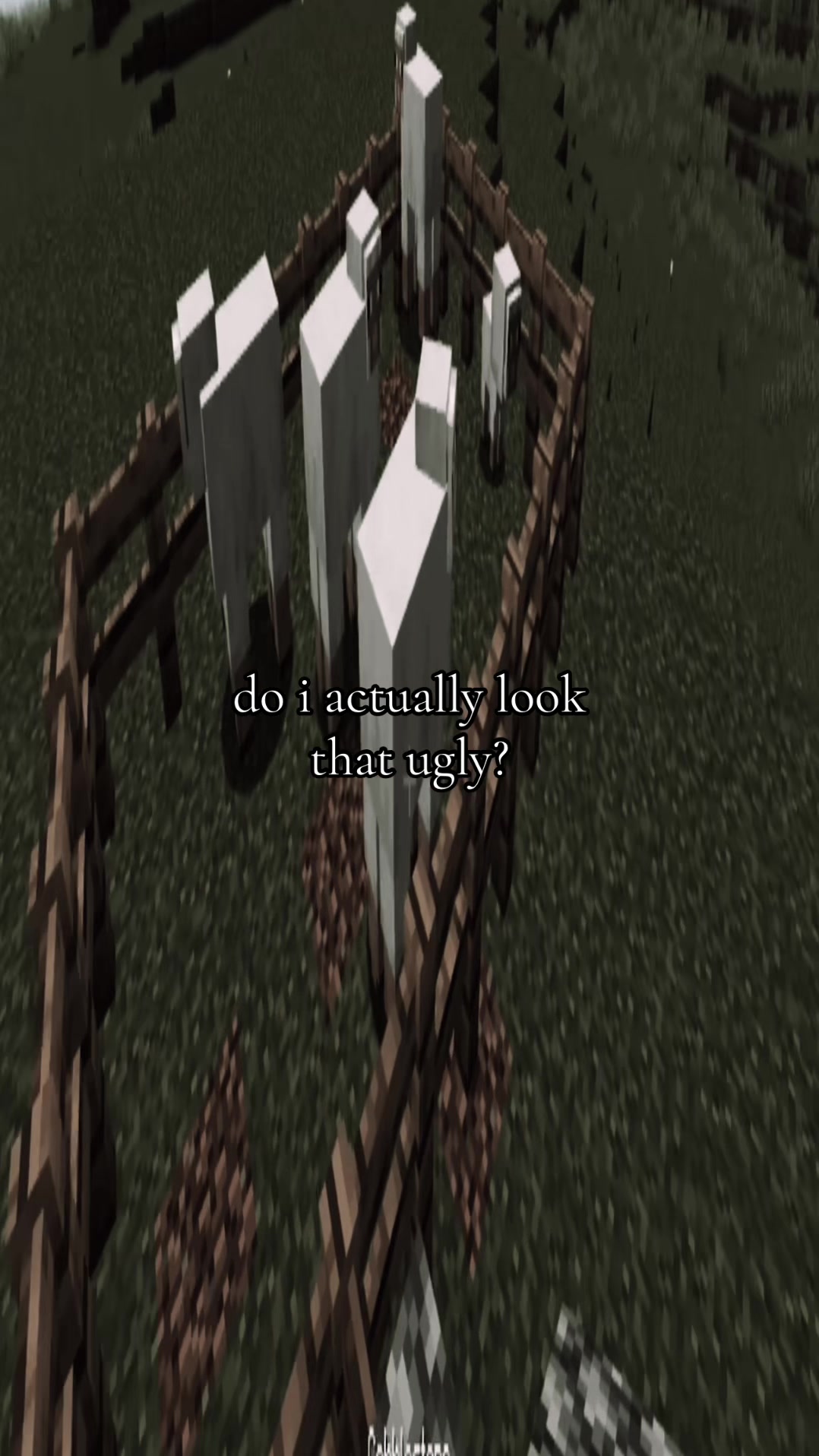 @thiscooldude