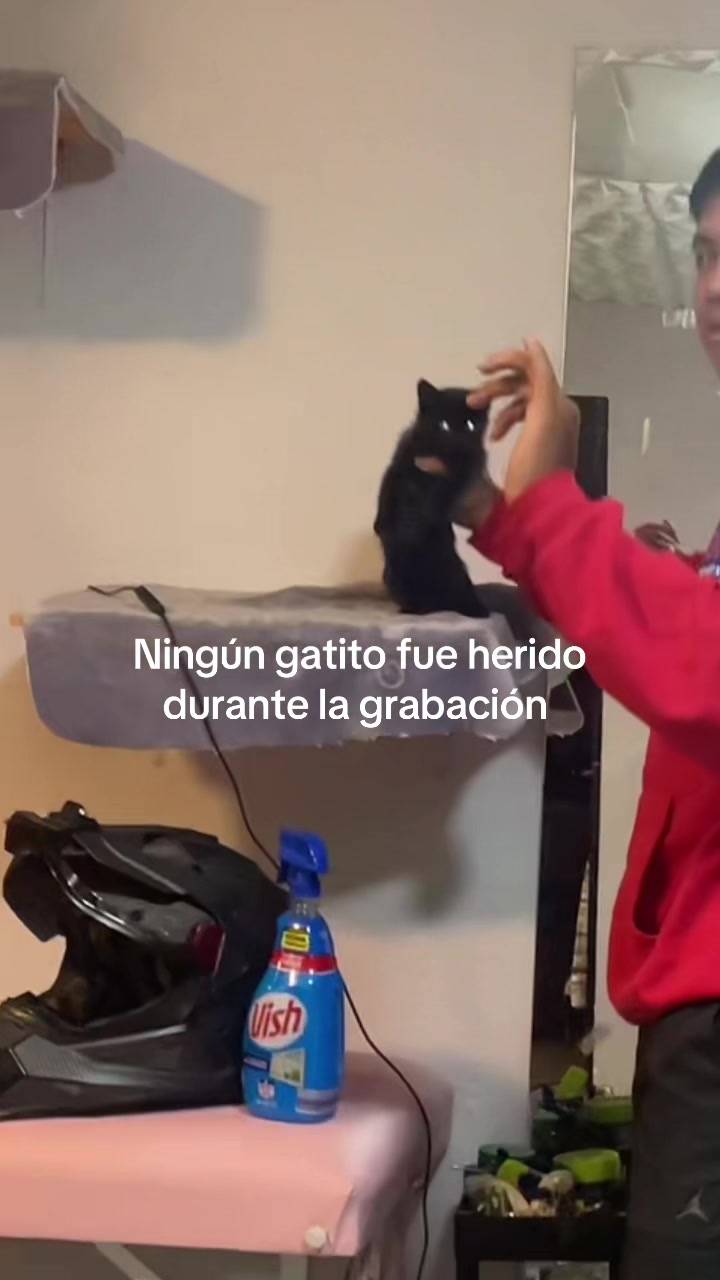 @lagitanaaa