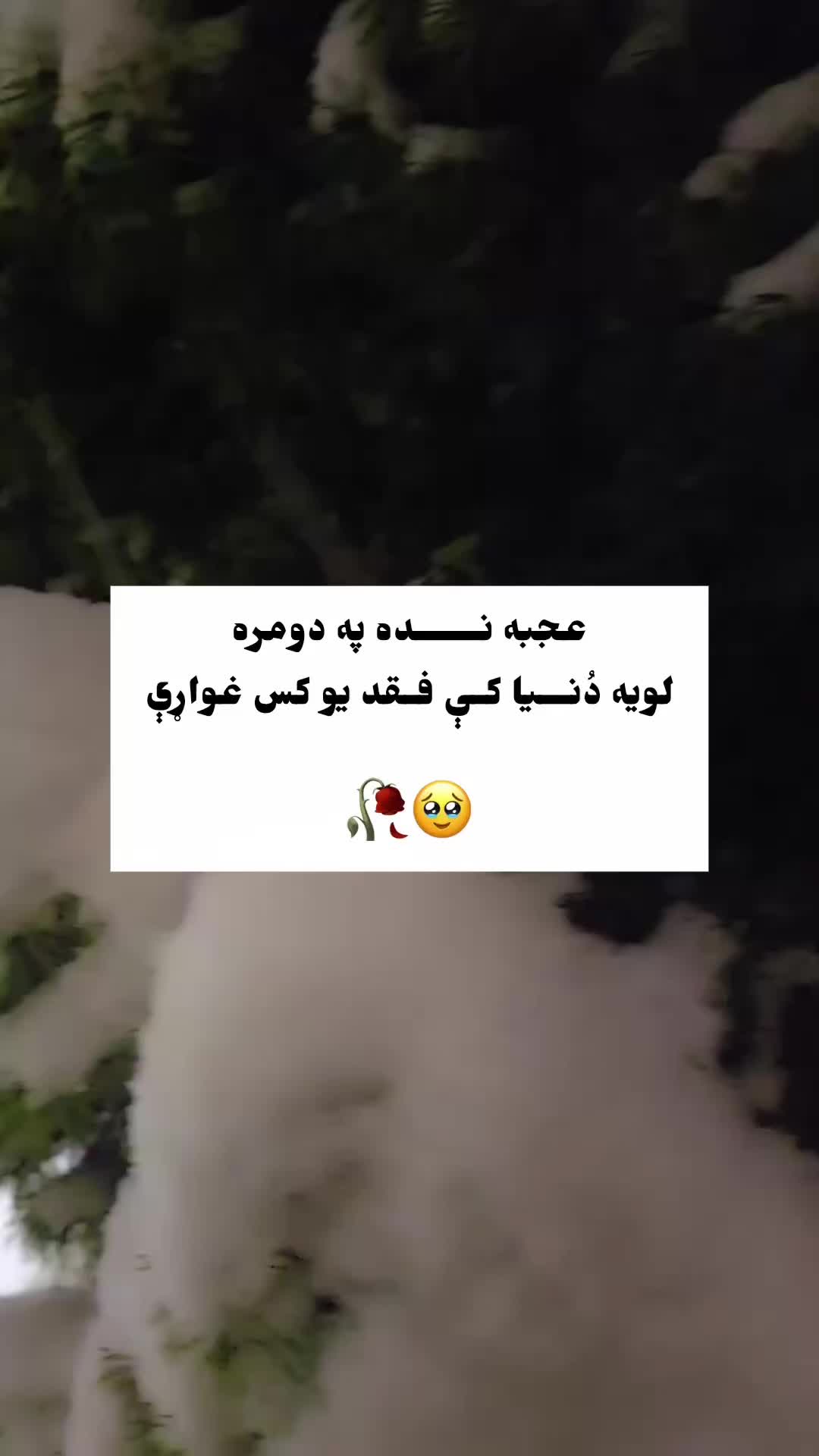@𓈒𓏲ړنـــــ👑⑅⃝ــــګ﮼ 🤍