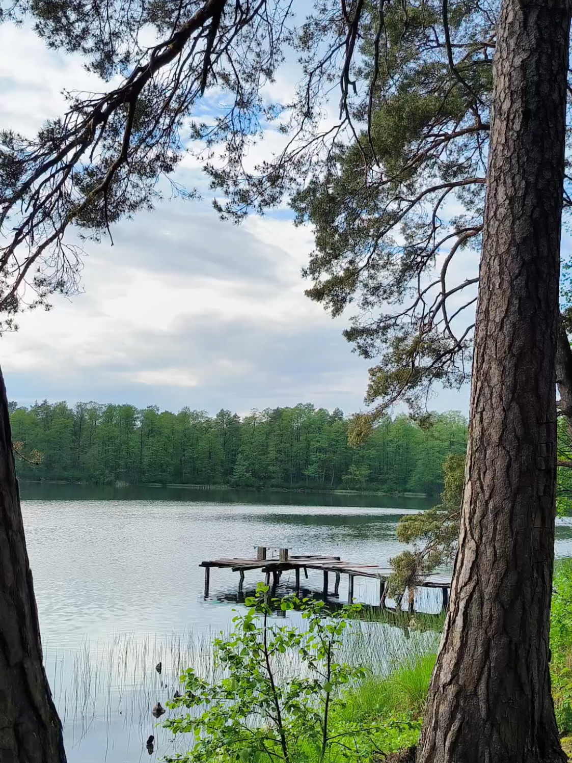 @Наталя🏍️🌳🌊