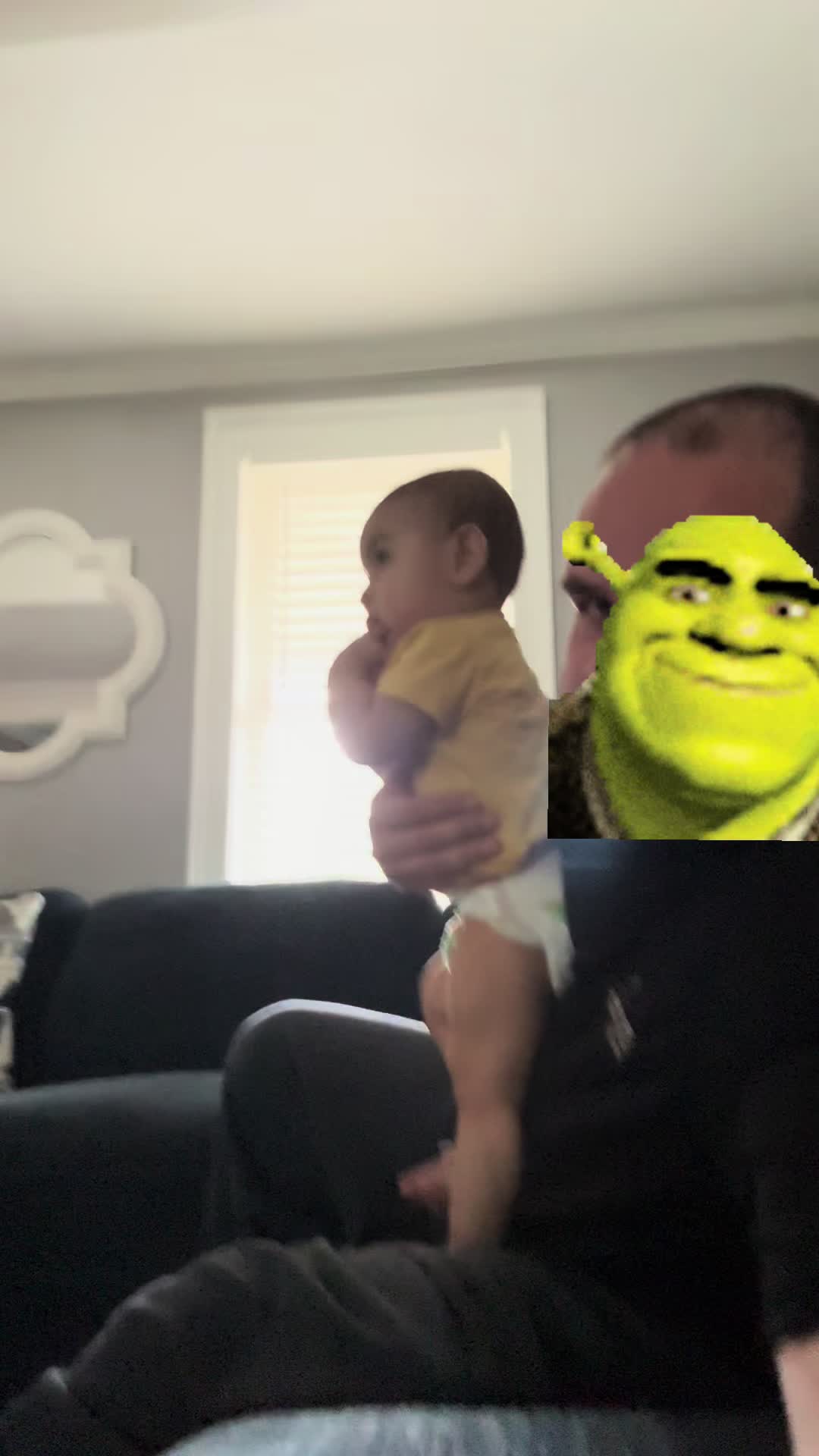 @🫏 shrekbean17 🫏
