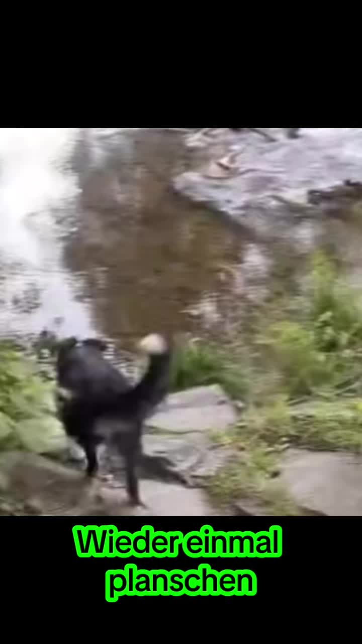 @🐕Di Ana🐕