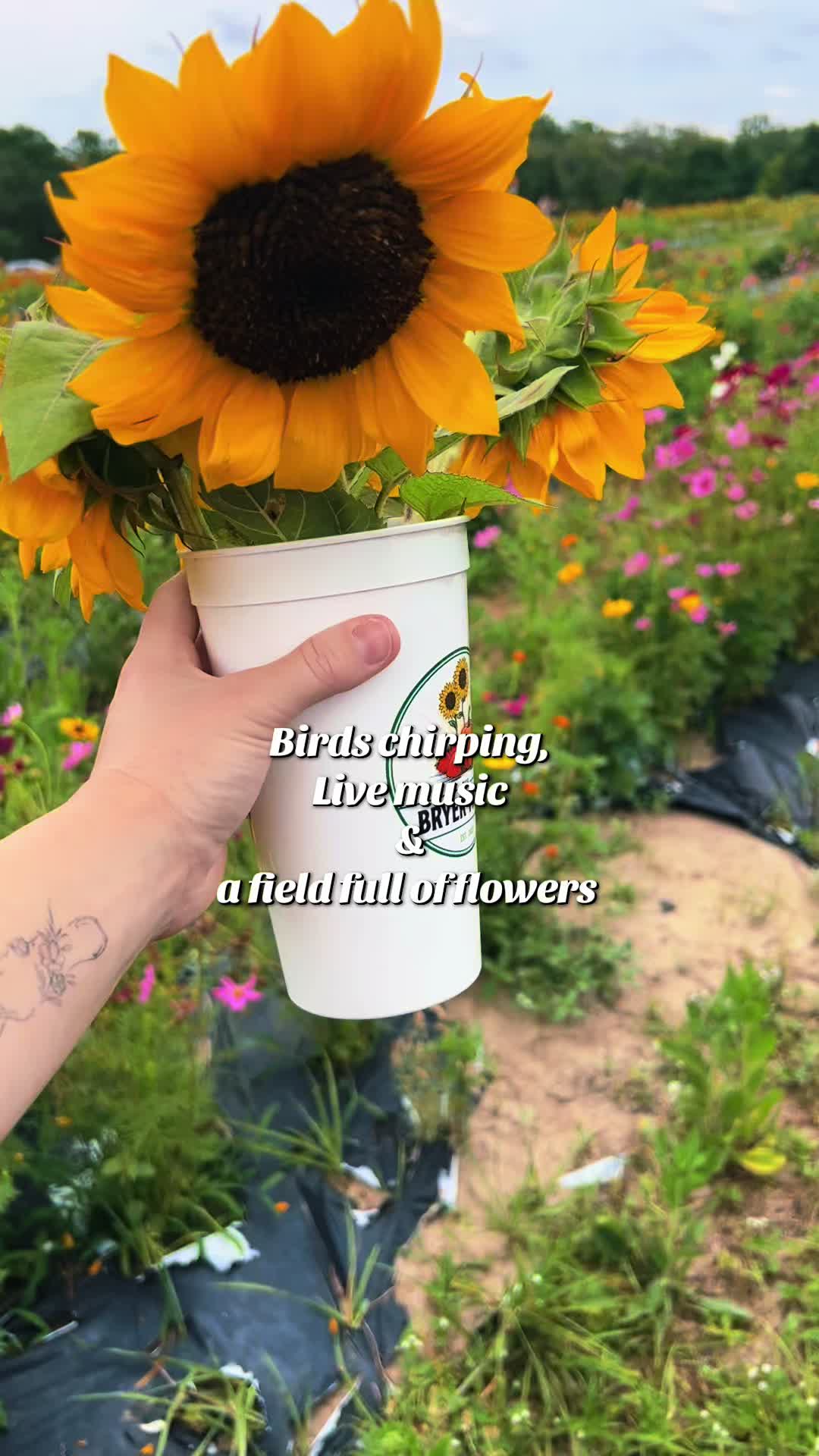 @Rachel Renee 🍊🌾