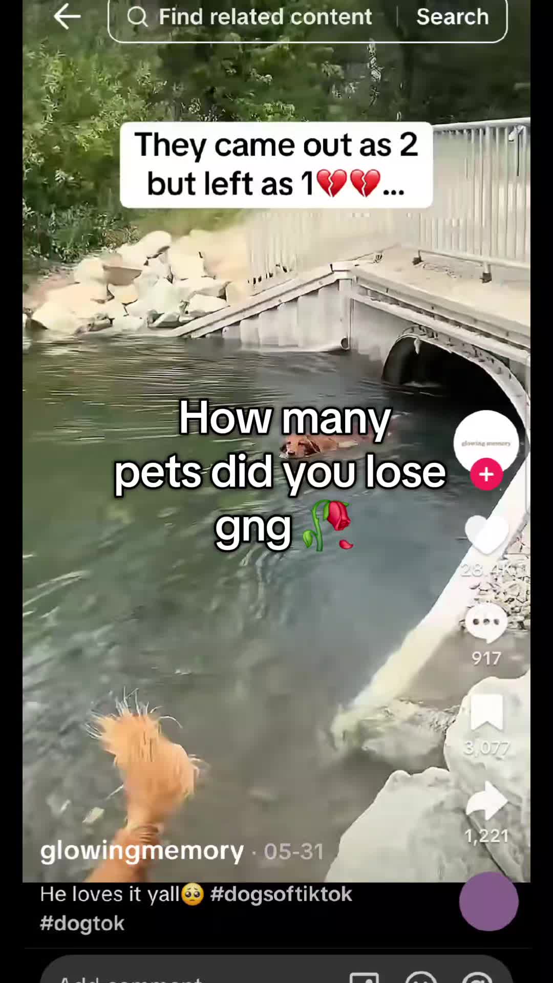 @FATCATTHE CAT