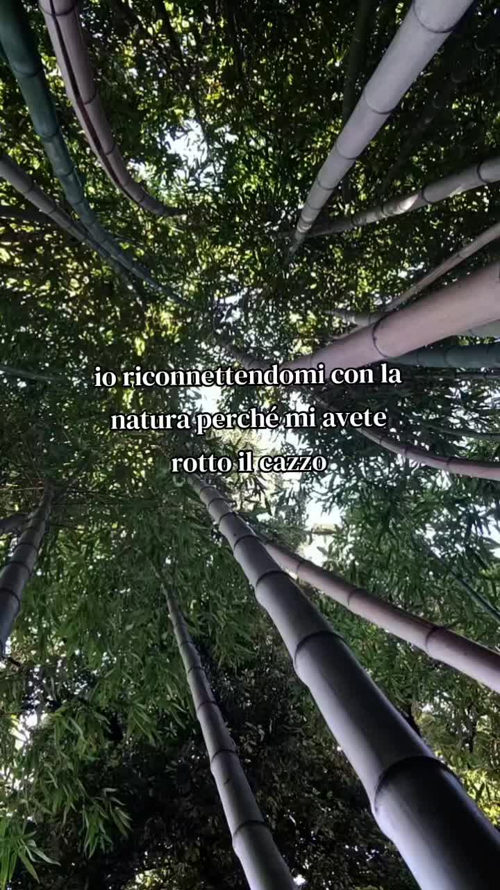 @𝑅𝑂𝑆𝐸