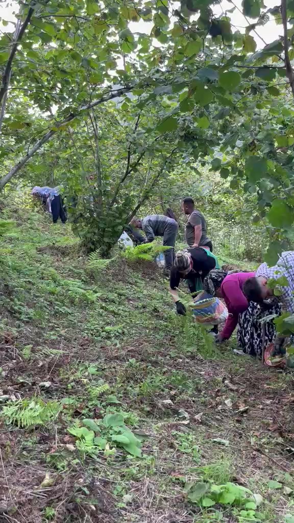 @flzgndz5225