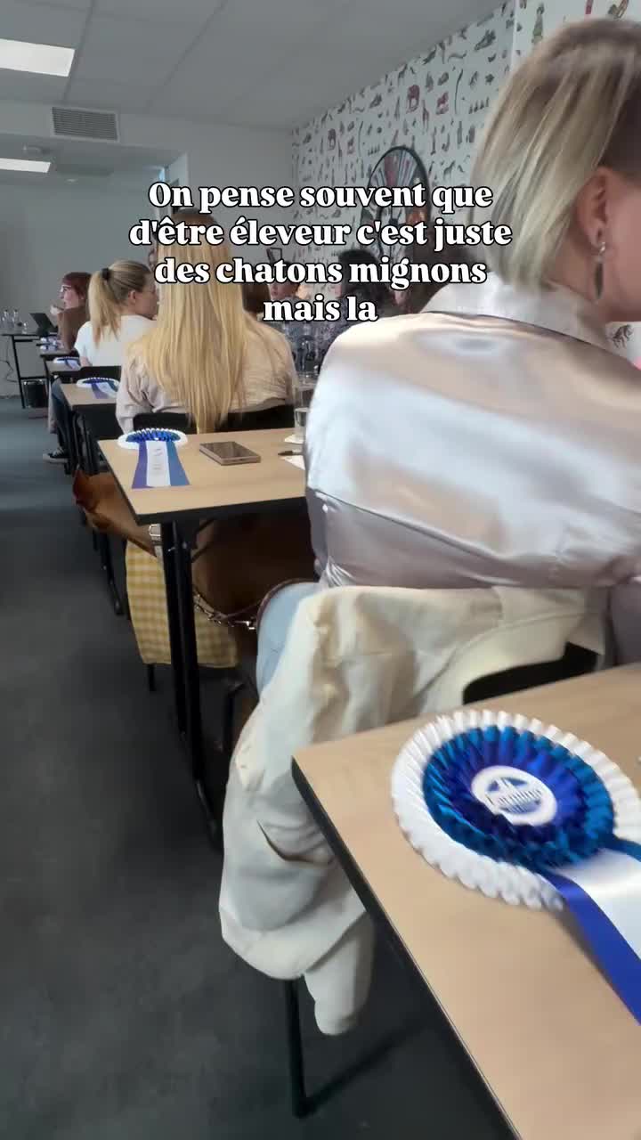 @Royal Mainecoon🇫🇷