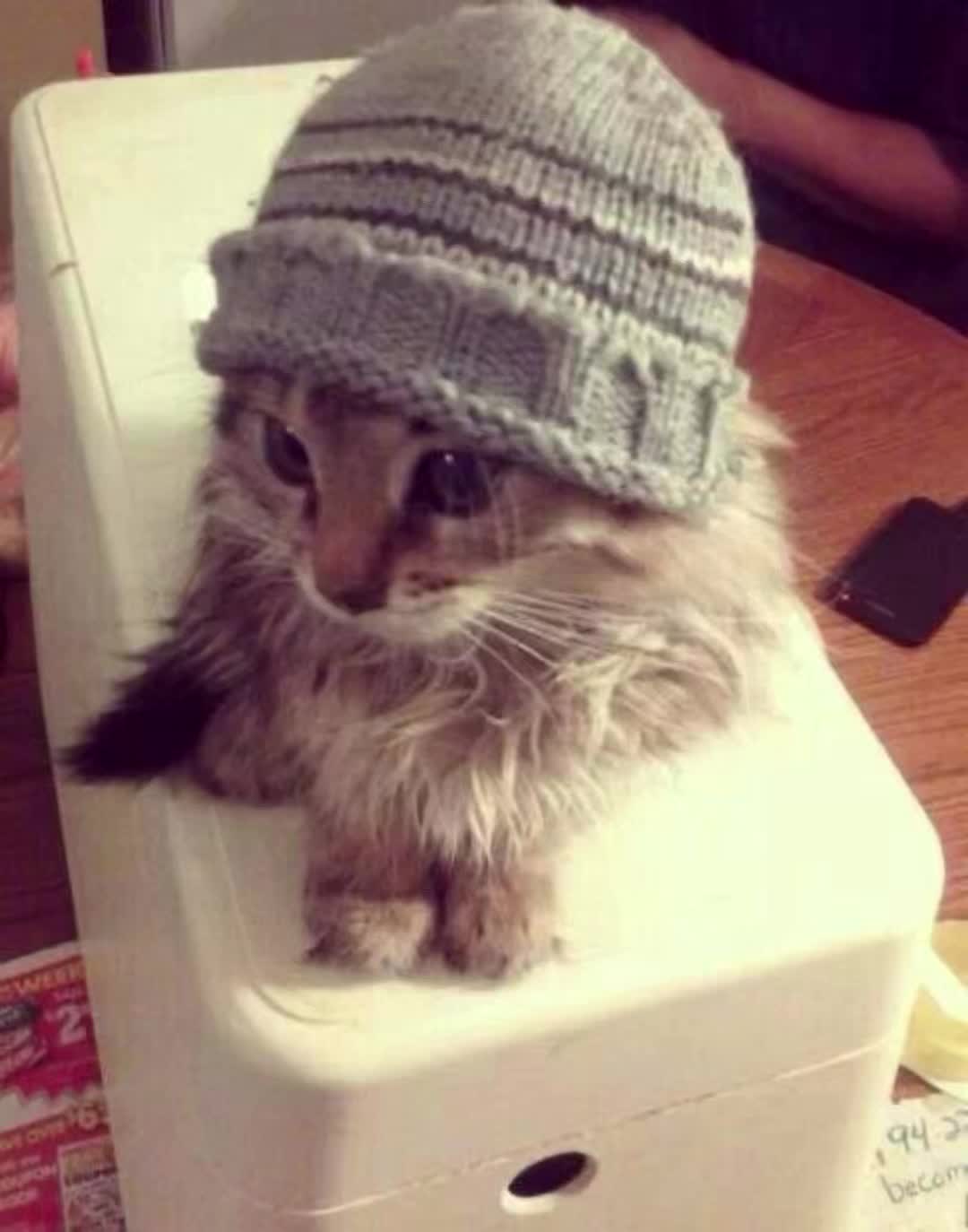 @(>.<)