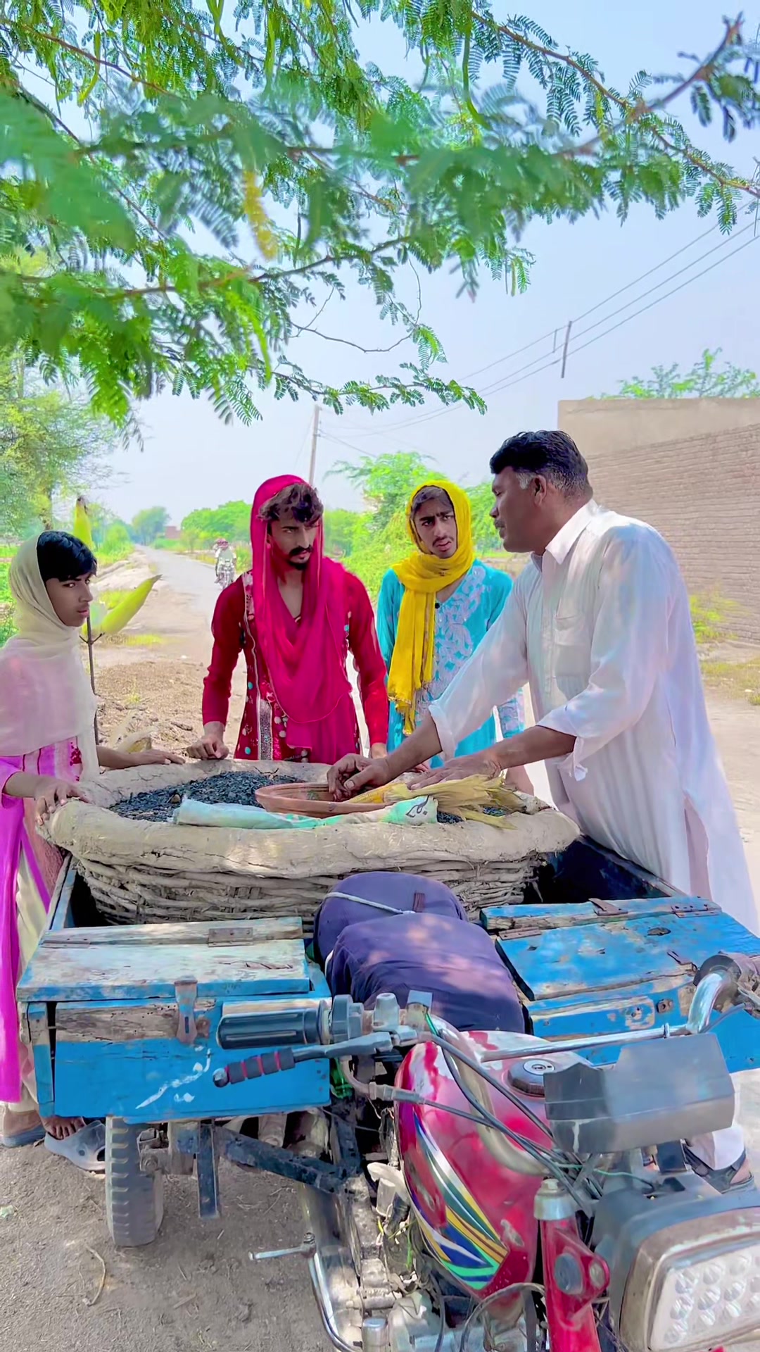 @ibrahimjhang