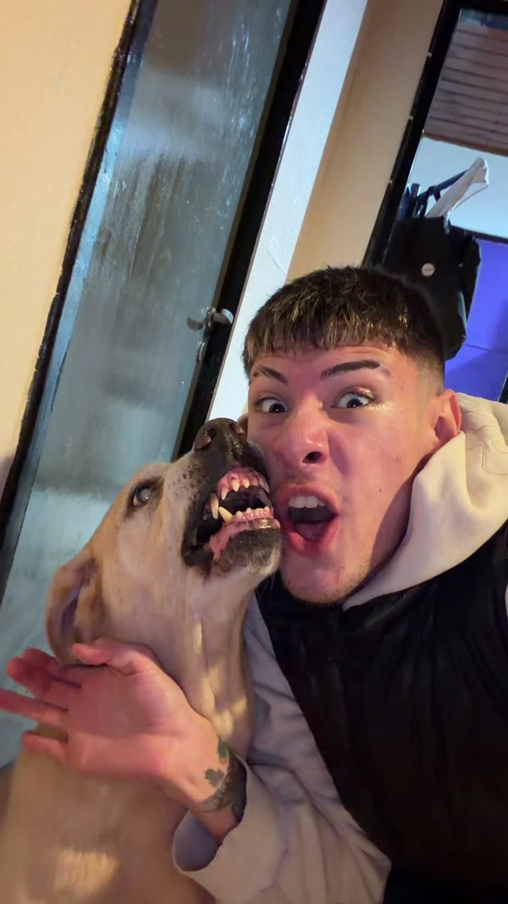 @RABIOSOO 🐶