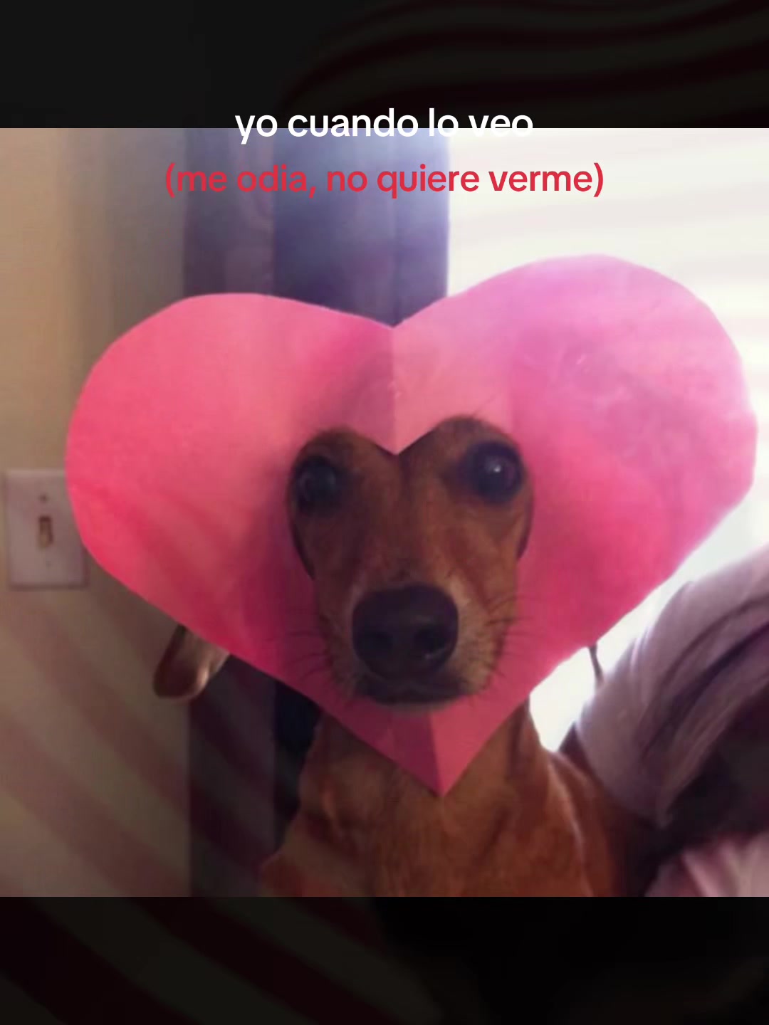 @secretaaaas