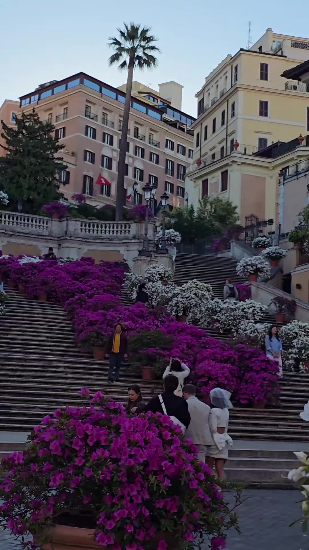 @mia.cara.italia🇮🇹
