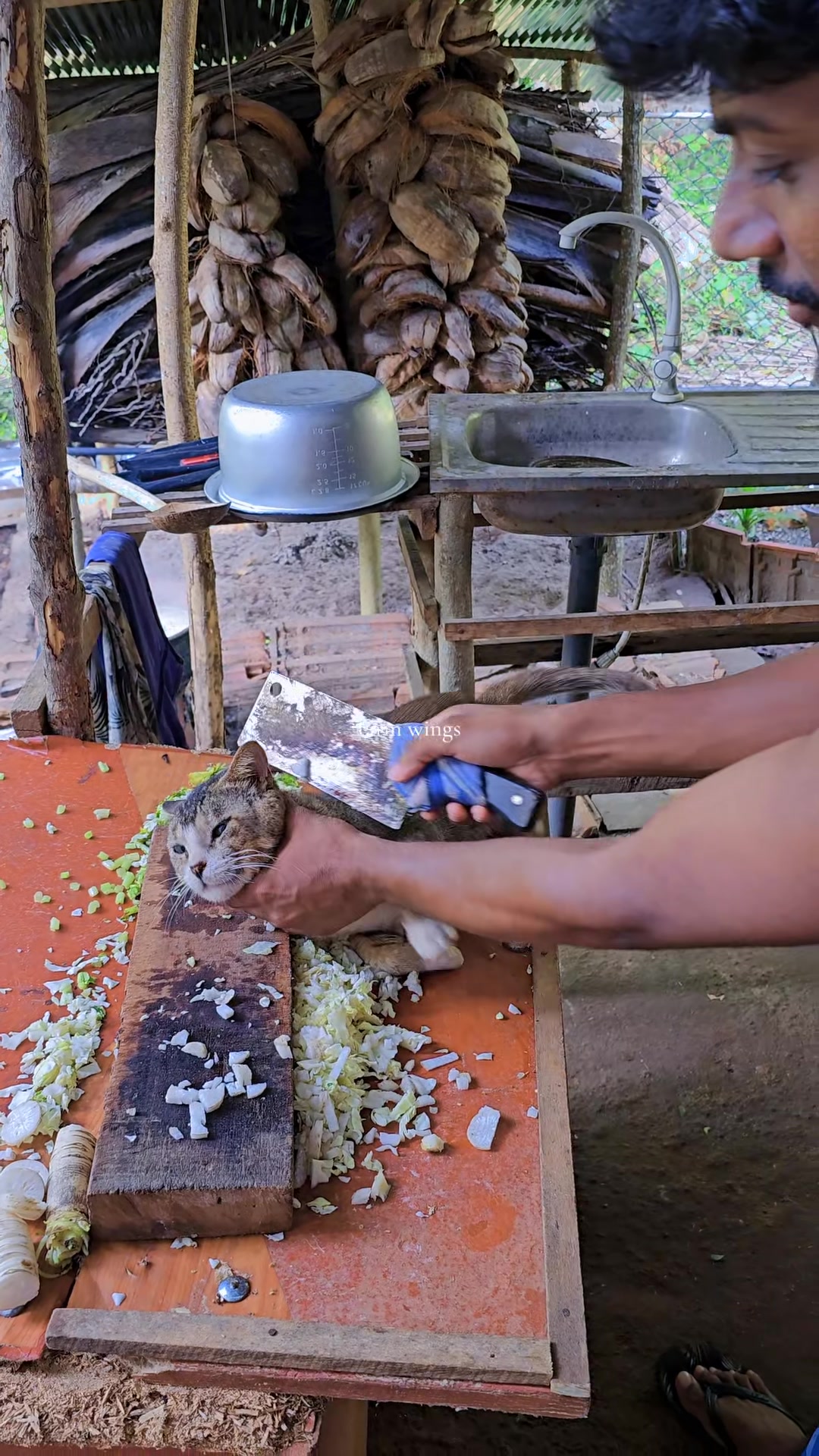 @𝗙𝗔𝗥𝗠 𝗪𝗜𝗡𝗚𝗦