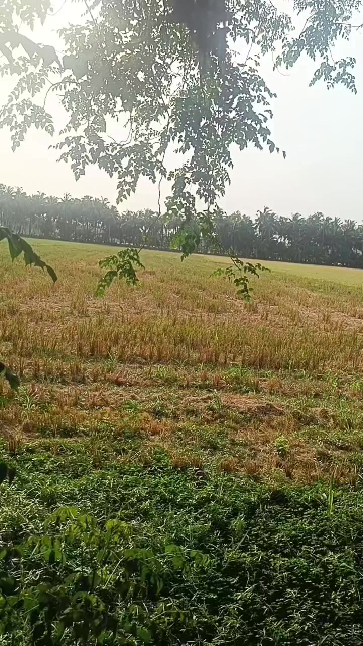 @ఆంధ్ర అమ్మాయి 🫰