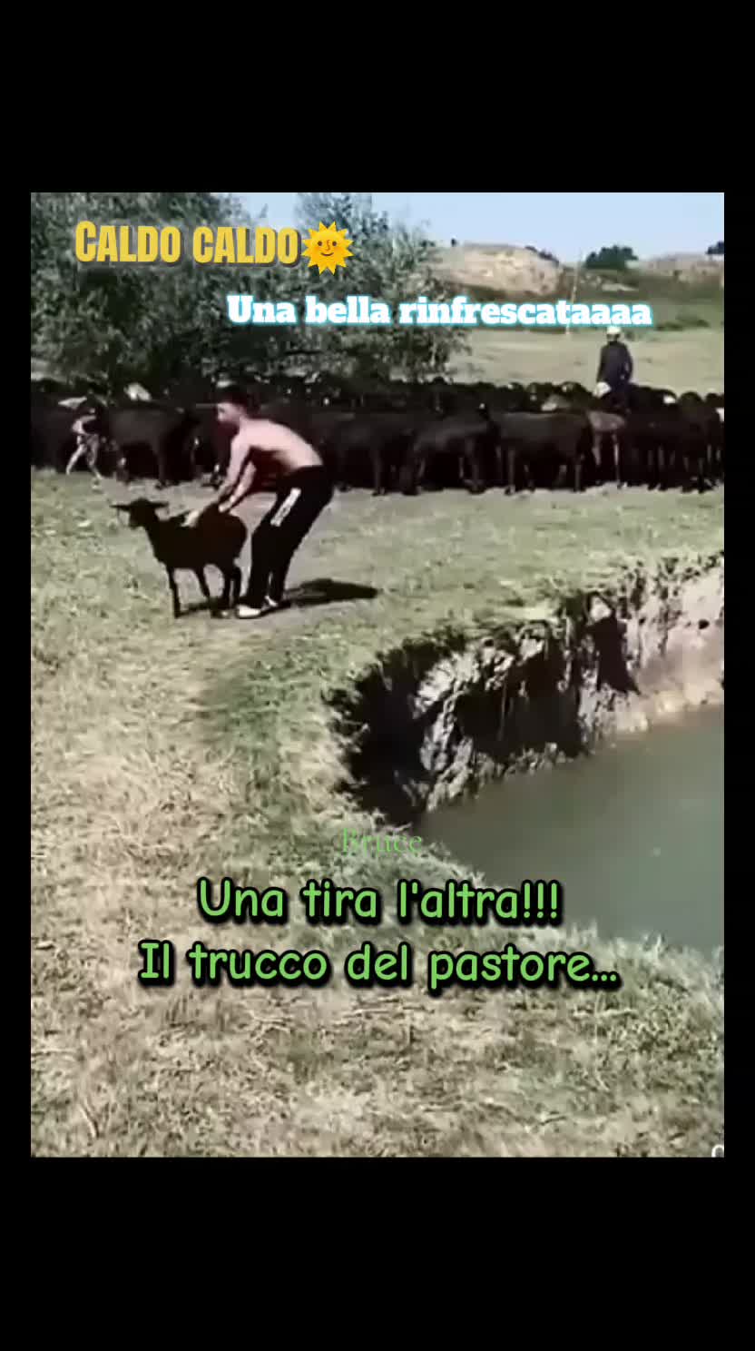 @BRUCE🇮🇹