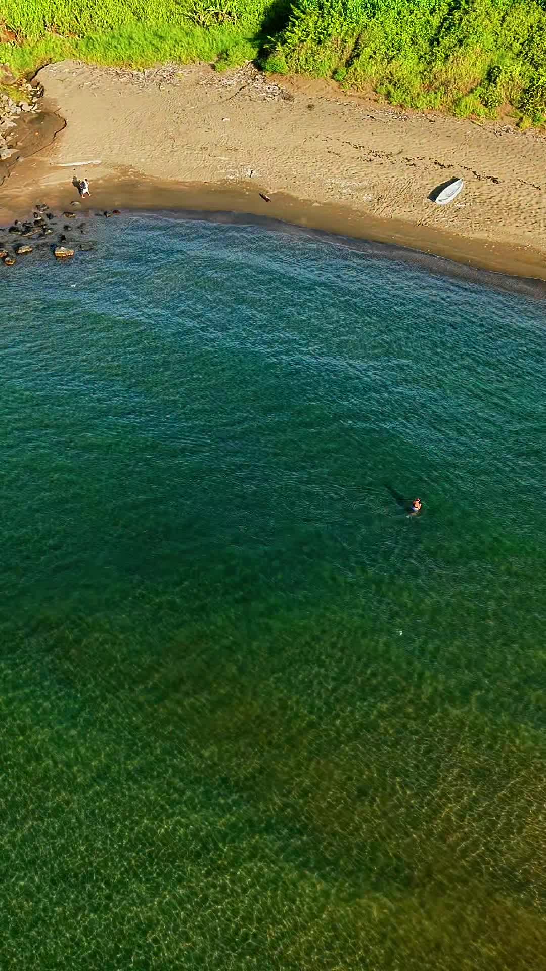 @🌊🐬🐚Kailani🐚🐬🌊