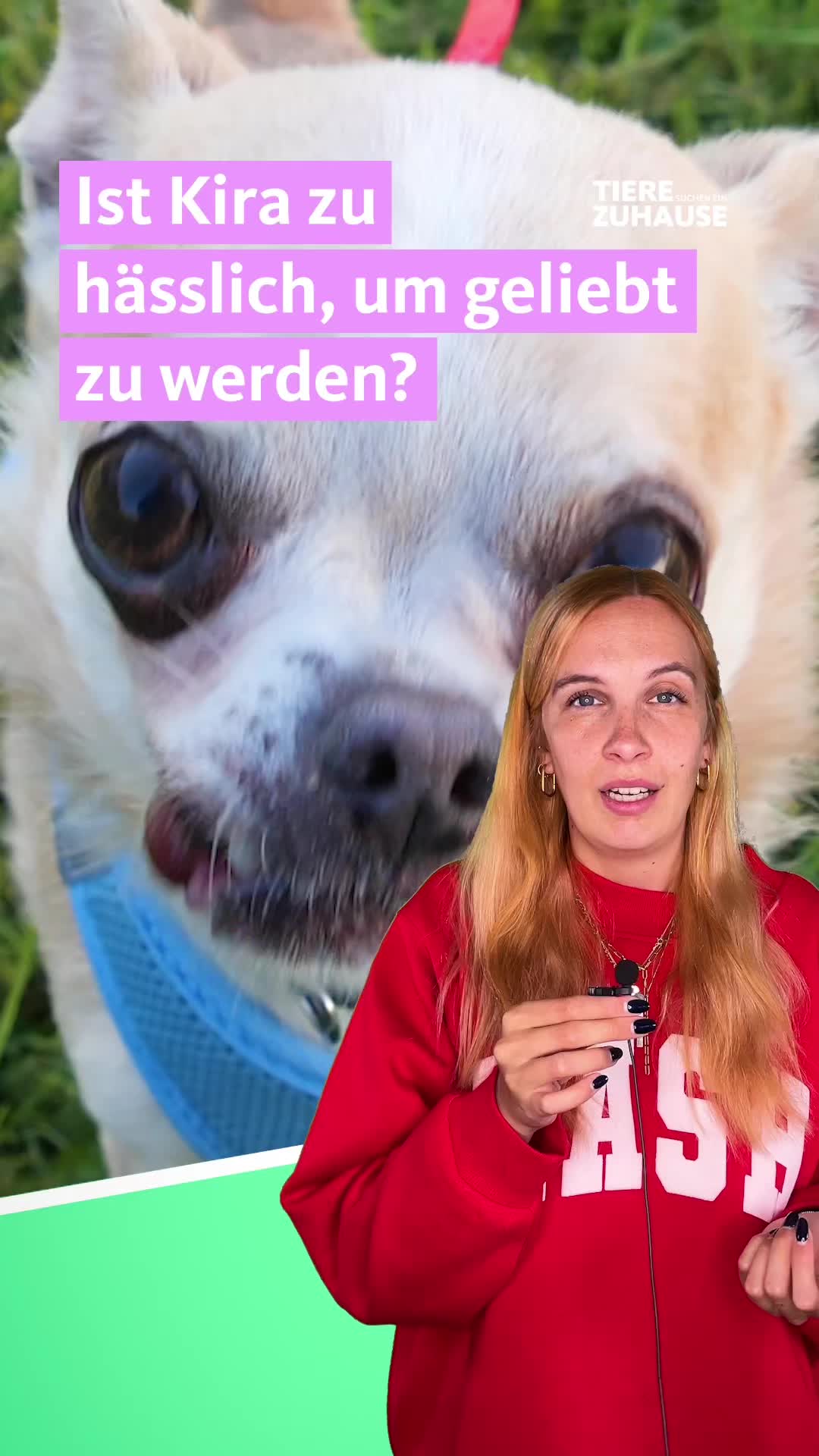 @Tiere suchen ein Zuhause