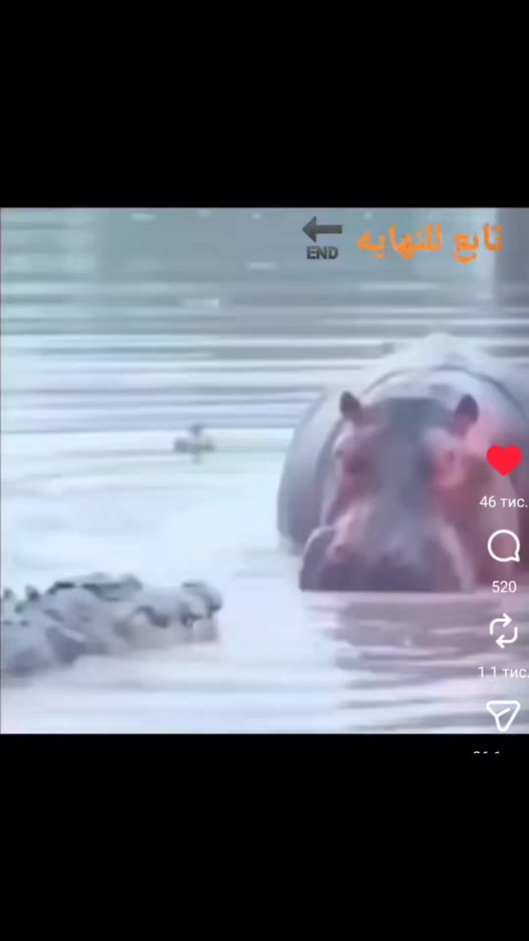 @Bear .979