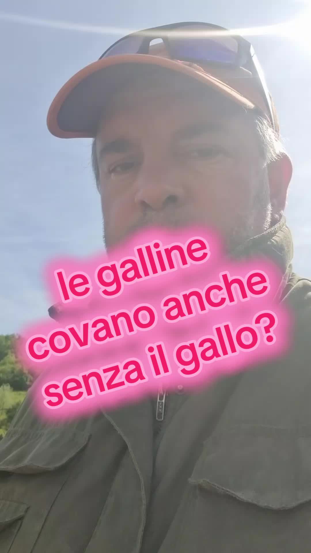 @Il leone e la gallina