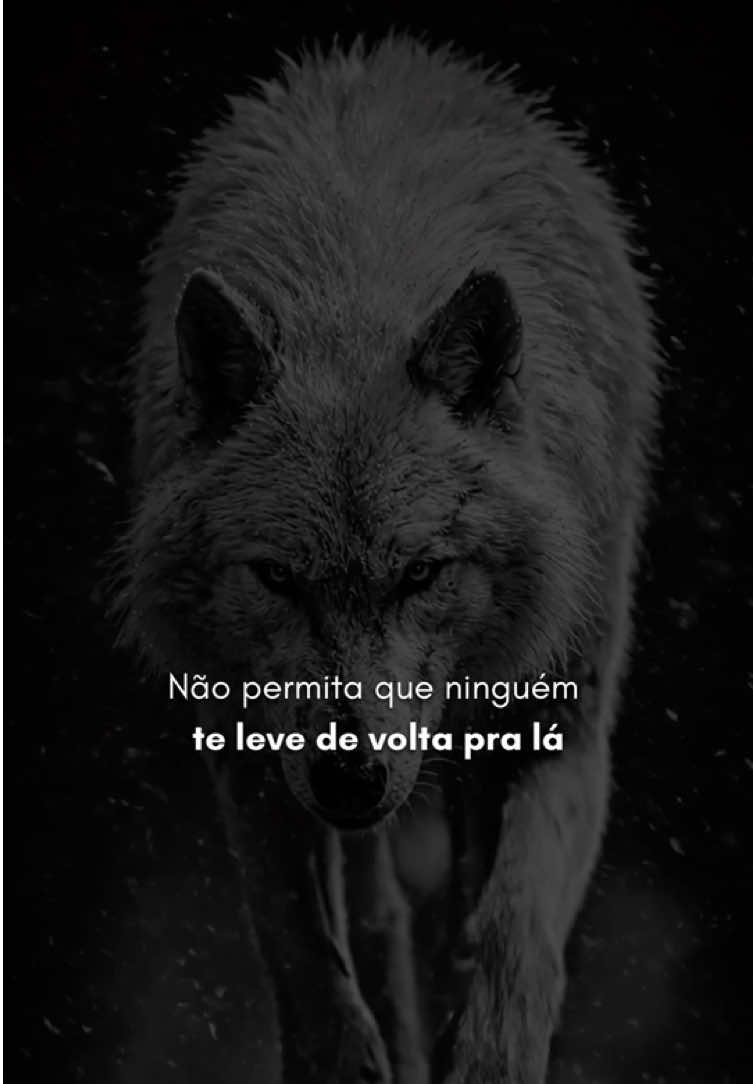 @Sombra de Veritas