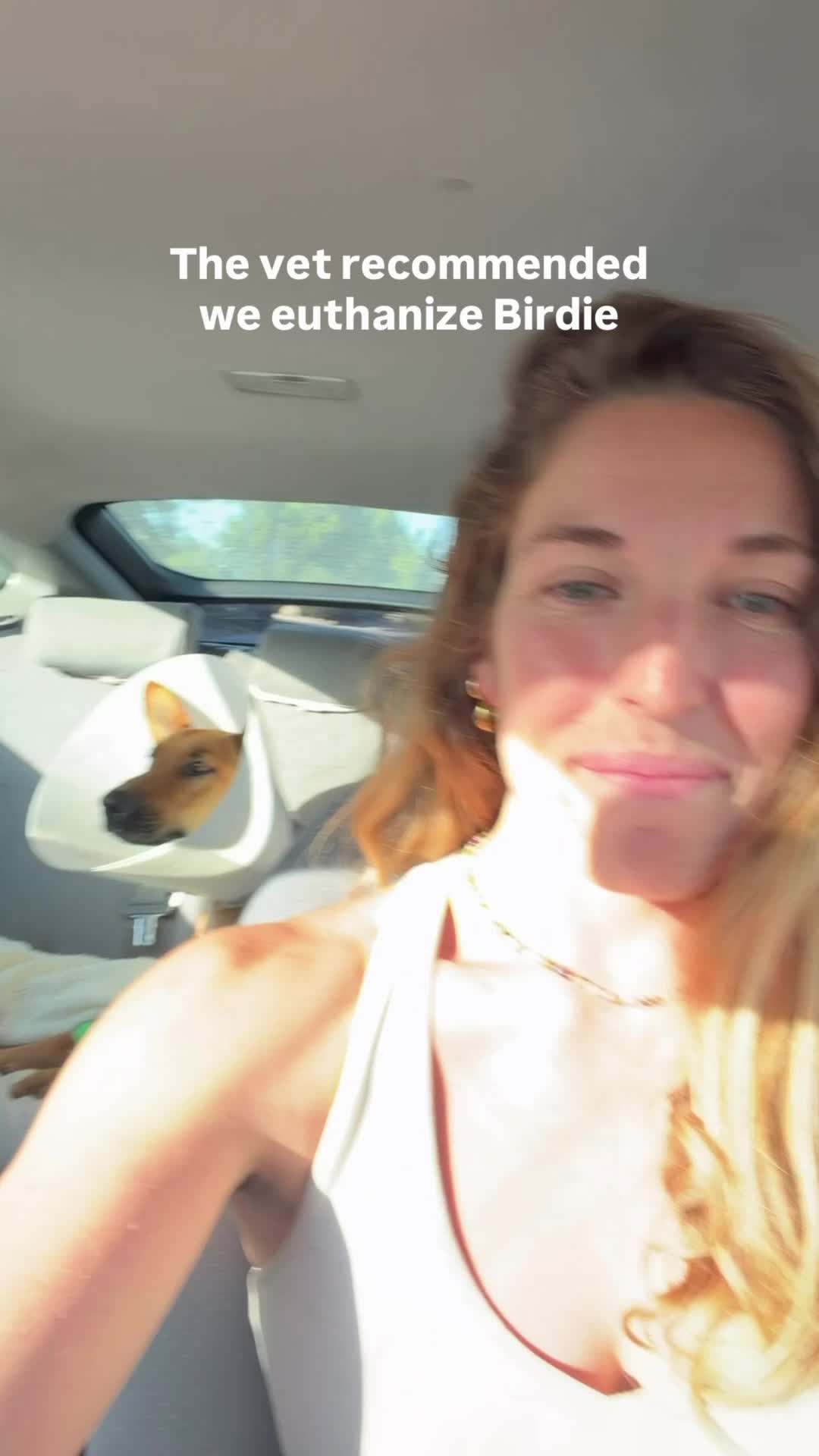 @expedition.ola