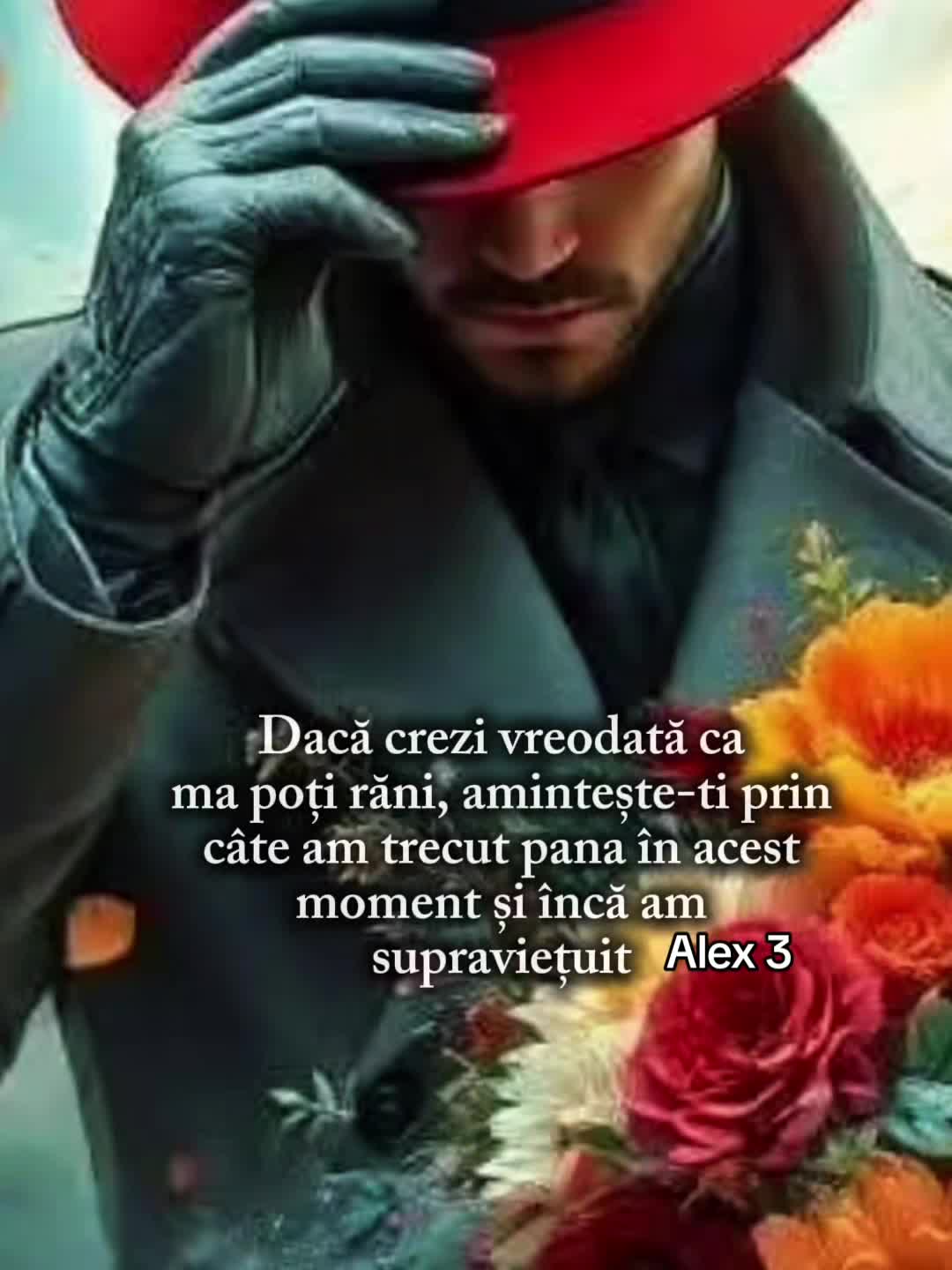 @ALEX 3