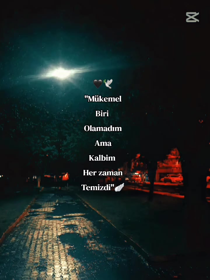 @❤️🩹🕊️