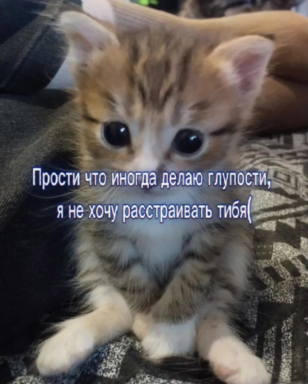 @Я люблю Машулю