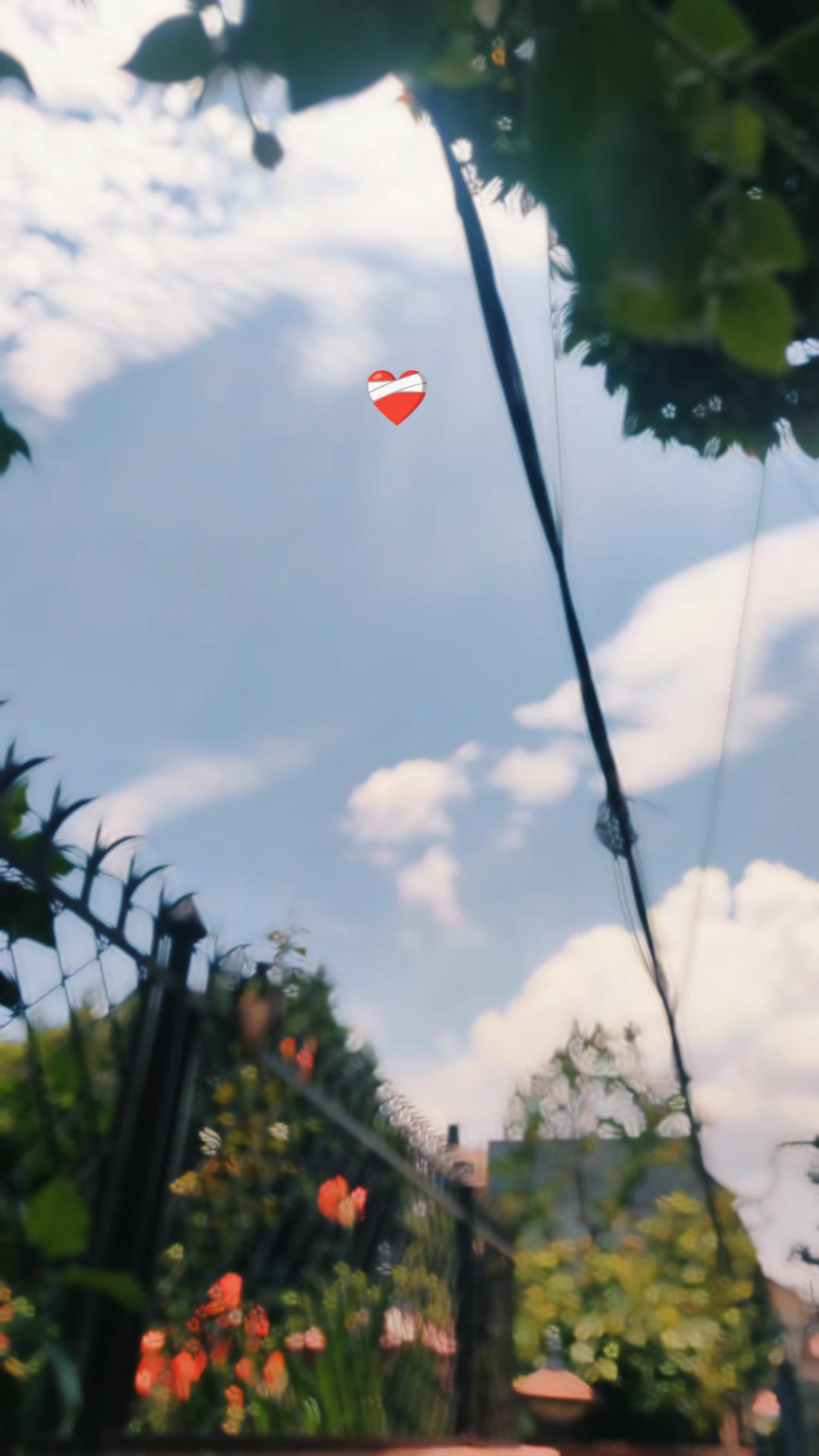 @CEO🇳🇵