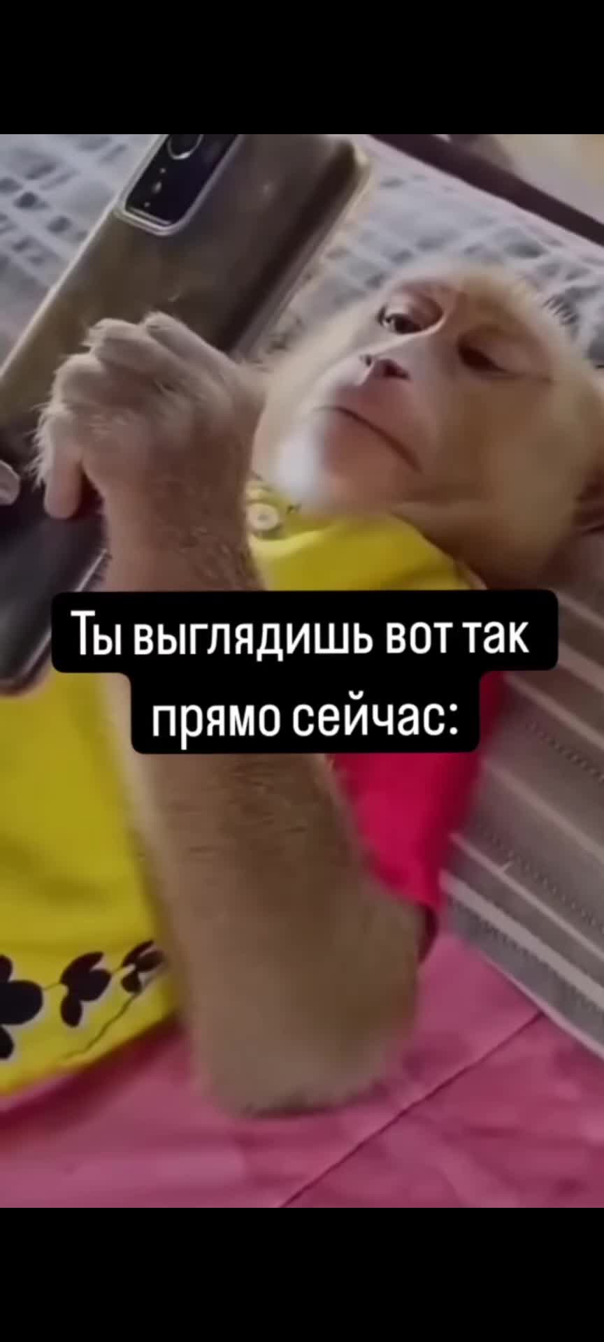 @Ark_o