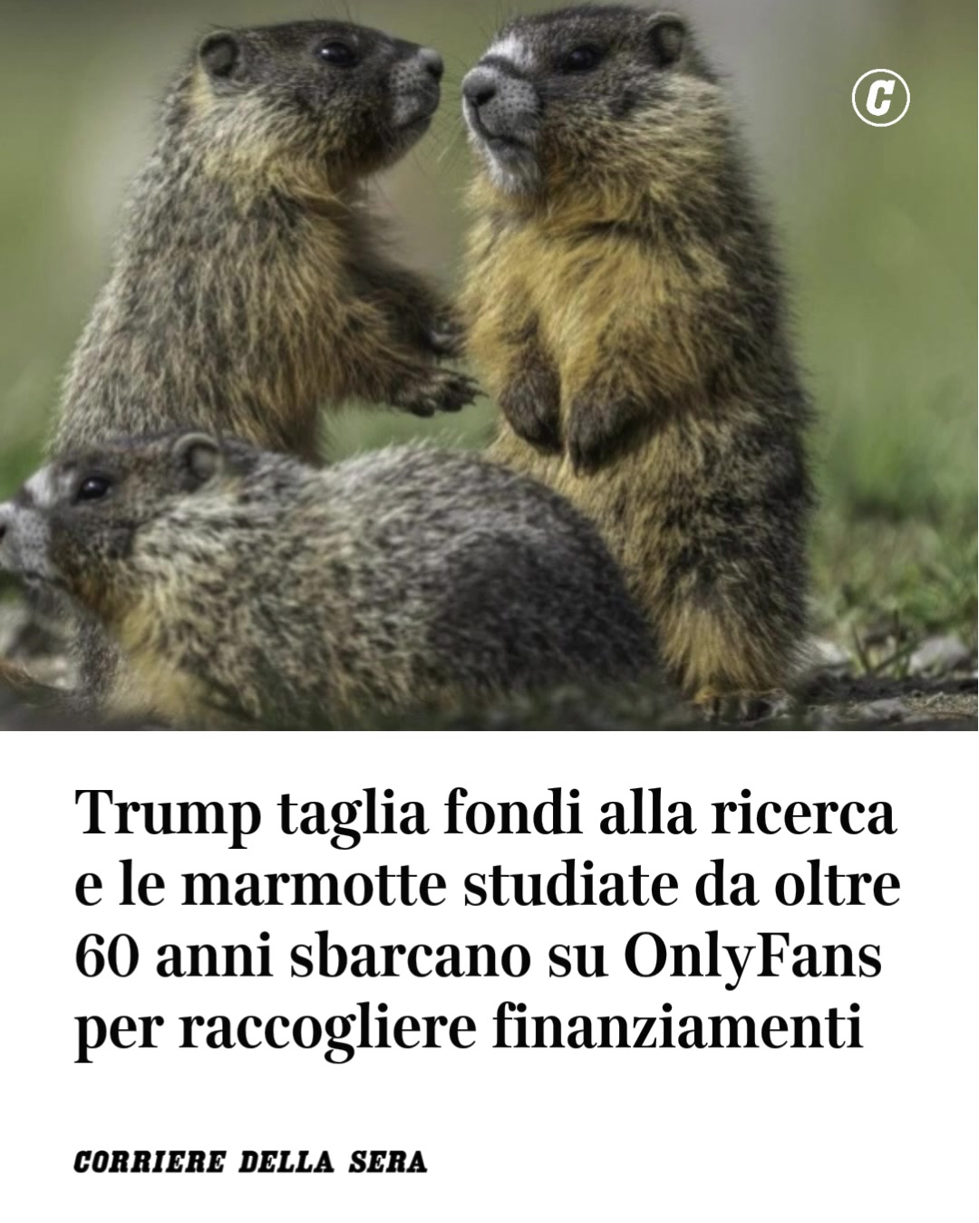 @Corriere della Sera