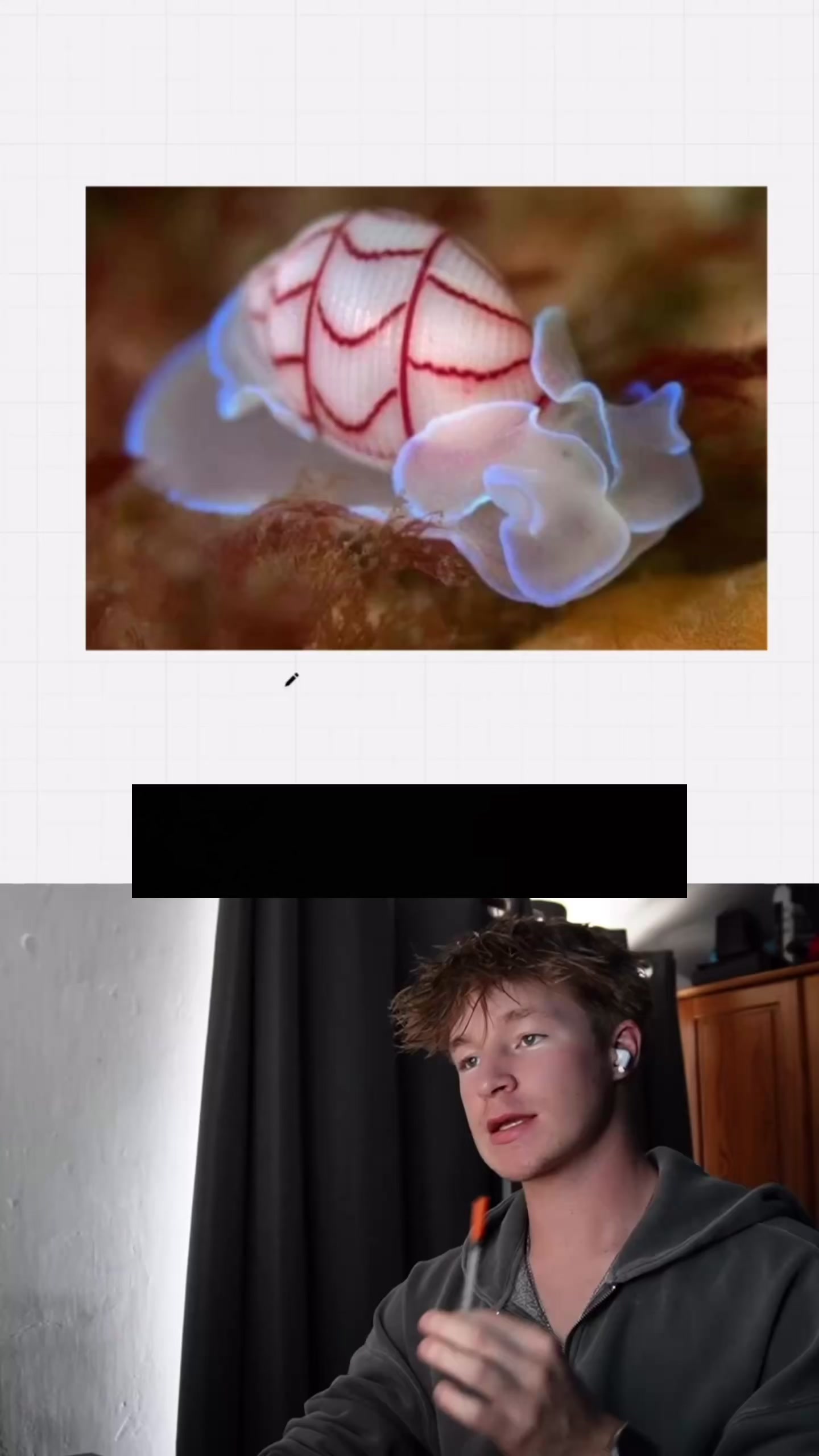 @Ben