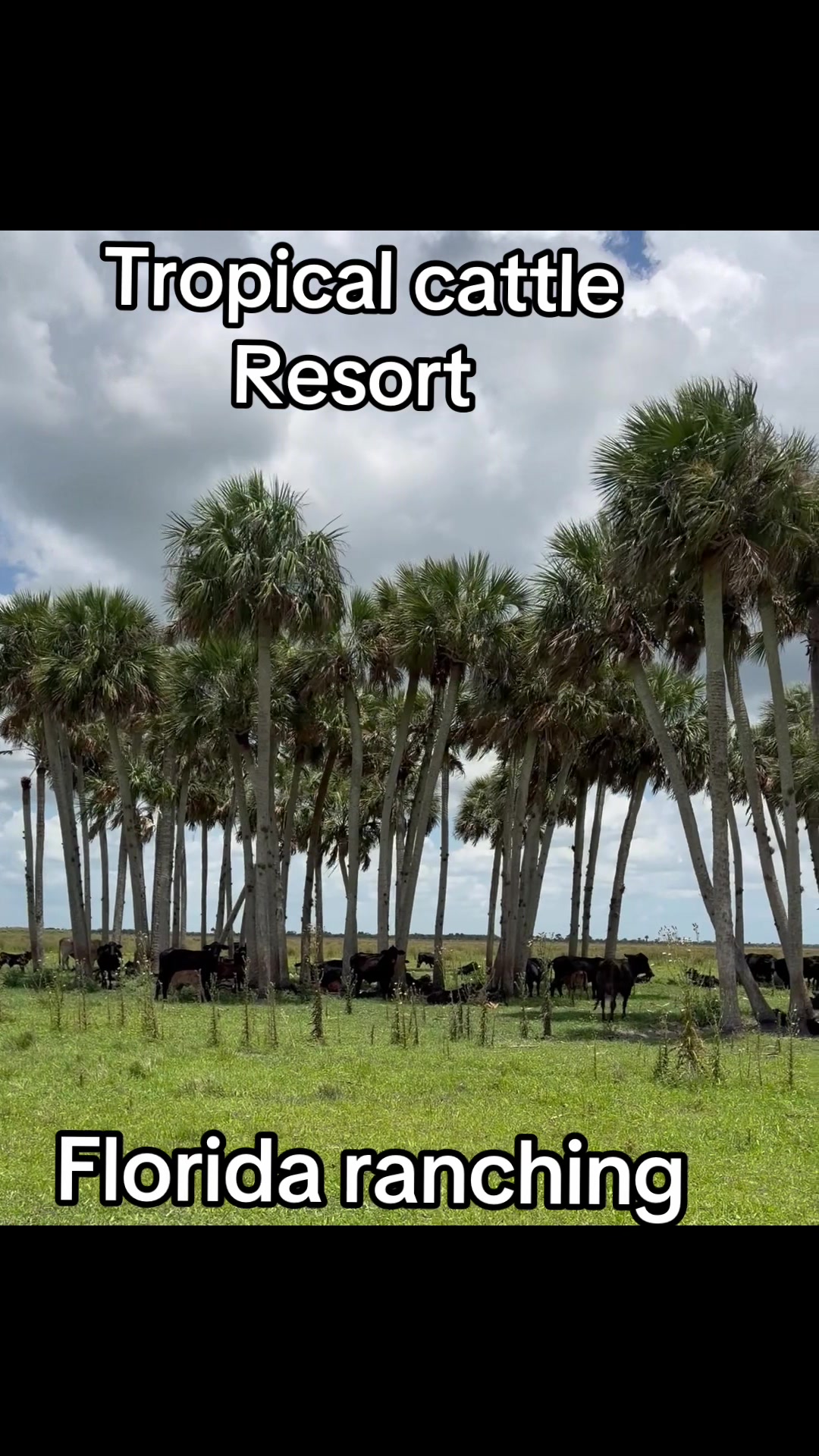 @Florida Land Guy