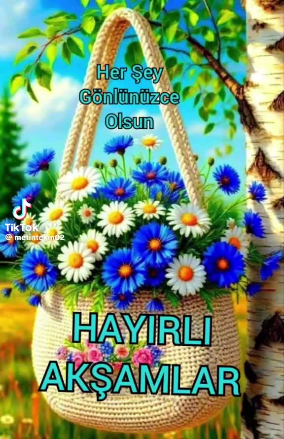 @Aydın &Ccedil;ine
