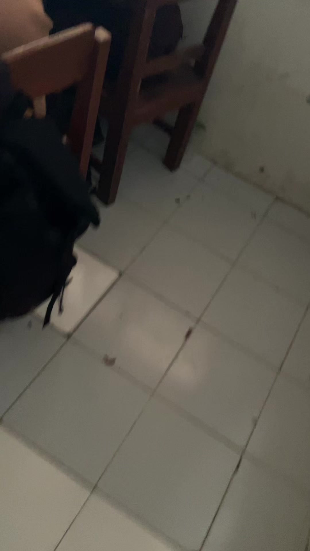 @knzptraprtma32
