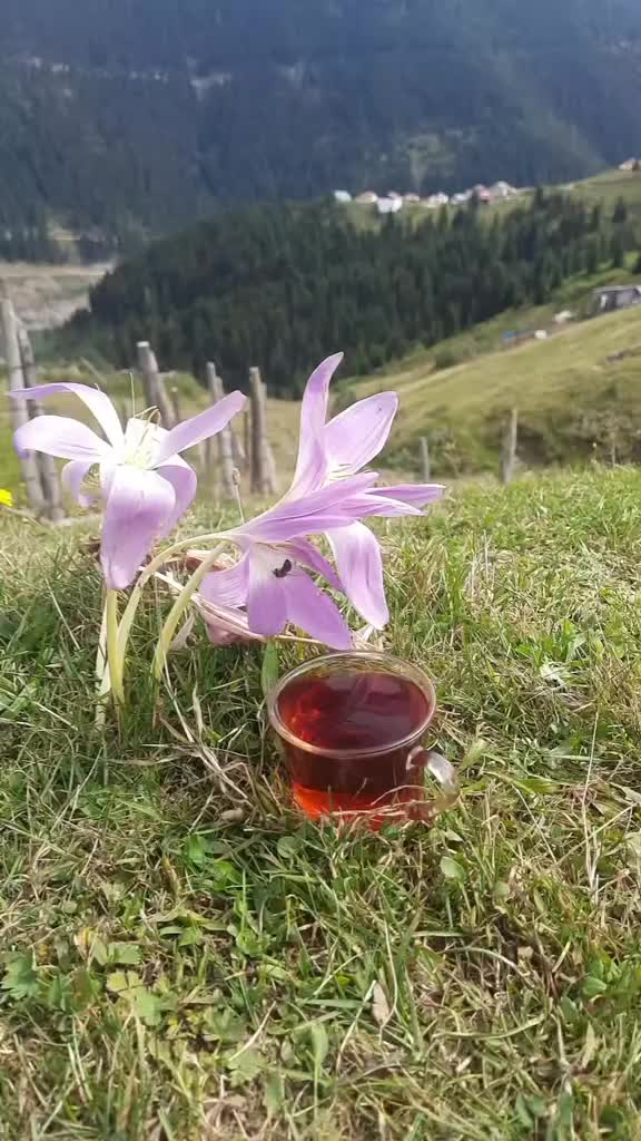 @KARADENİZ KIZI💙💜