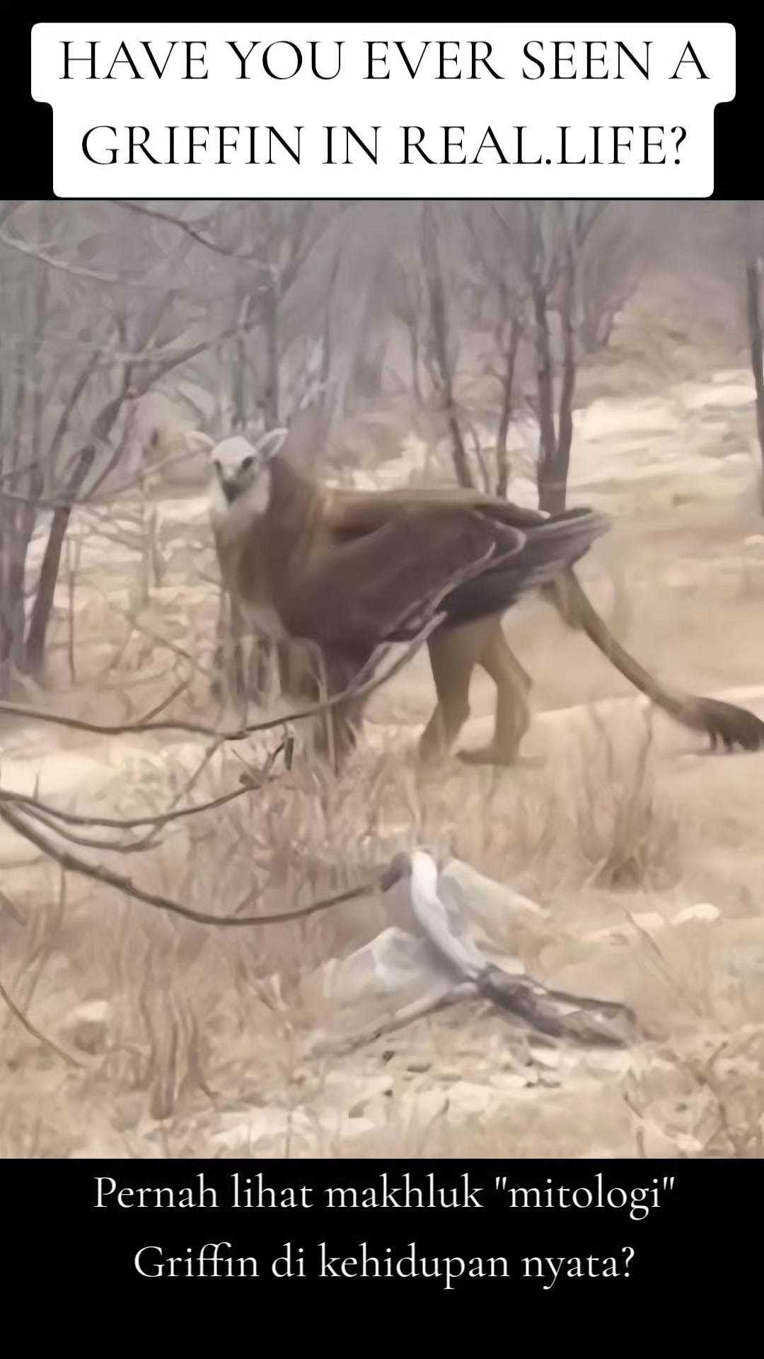 @๐ฌ๐๐๐ ๐ฏ๐๐๐๐