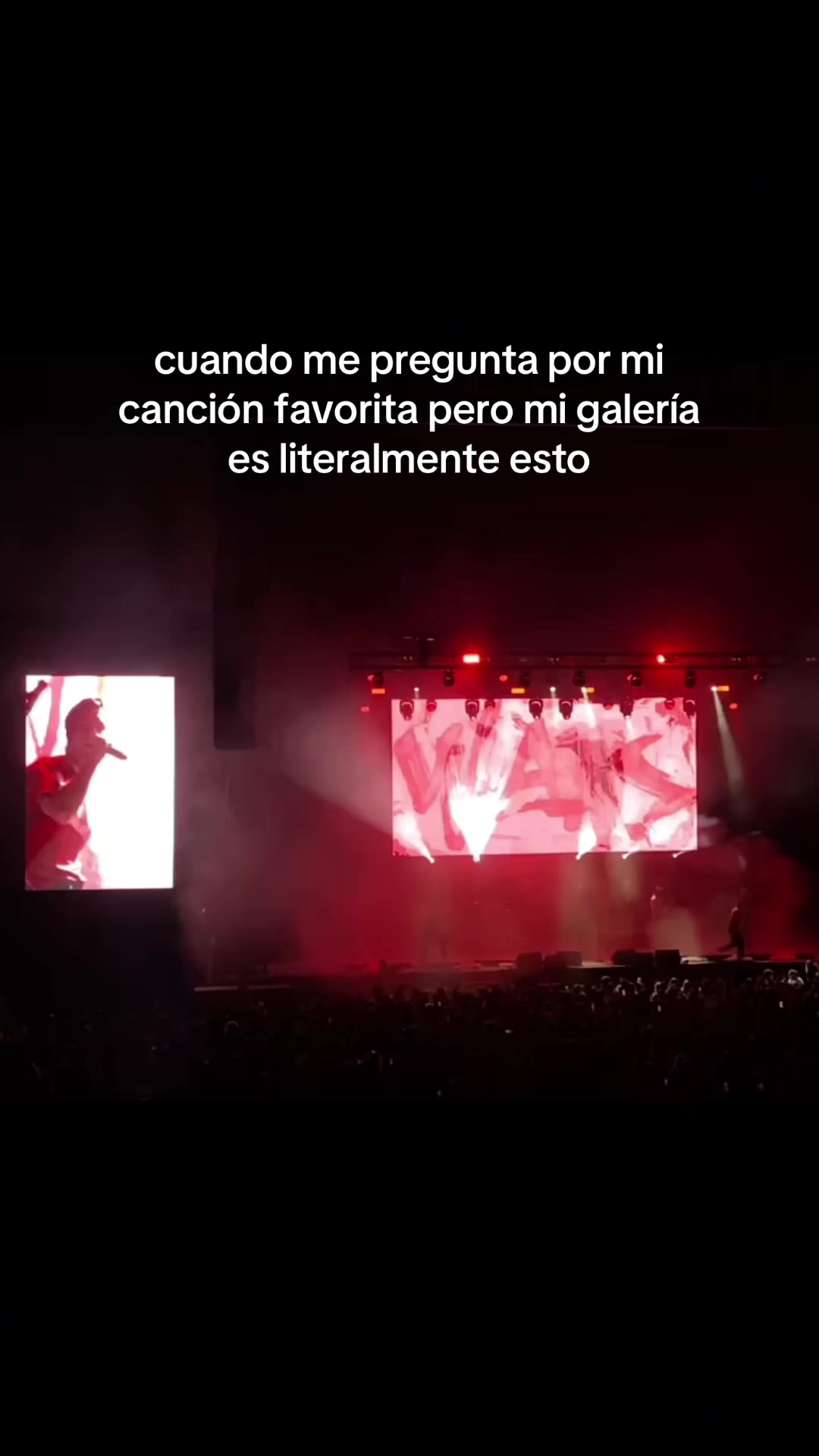 @andrea 🪩