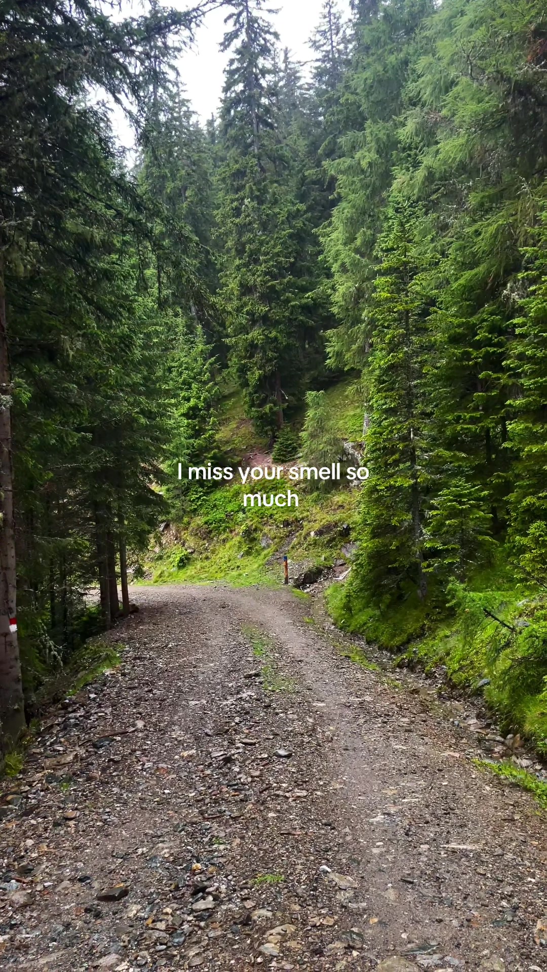 @Phil