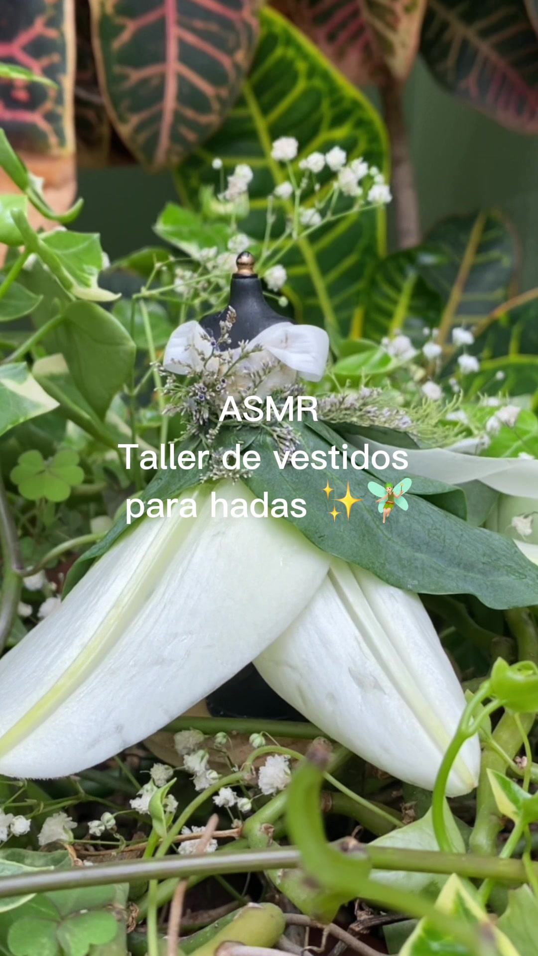 @Mon ASMR