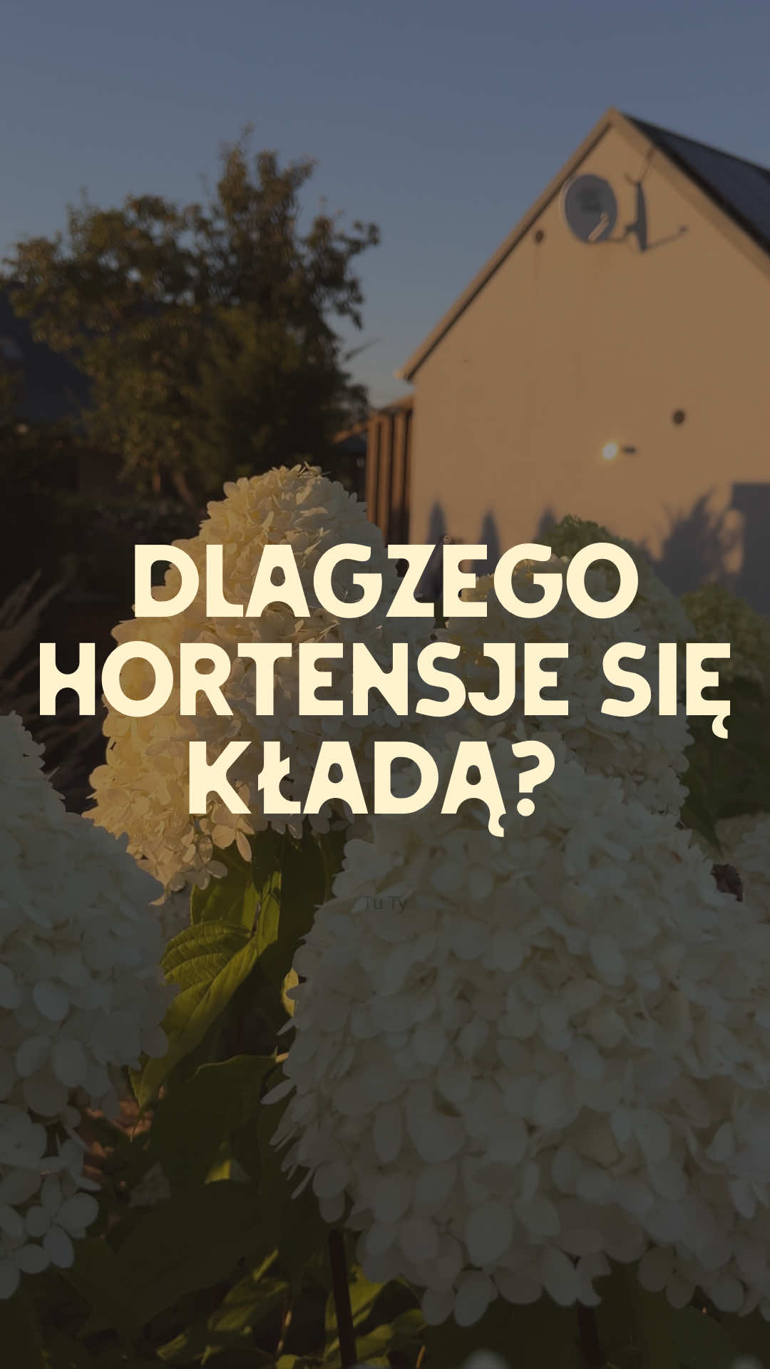 @Ogrodnik Doskonały