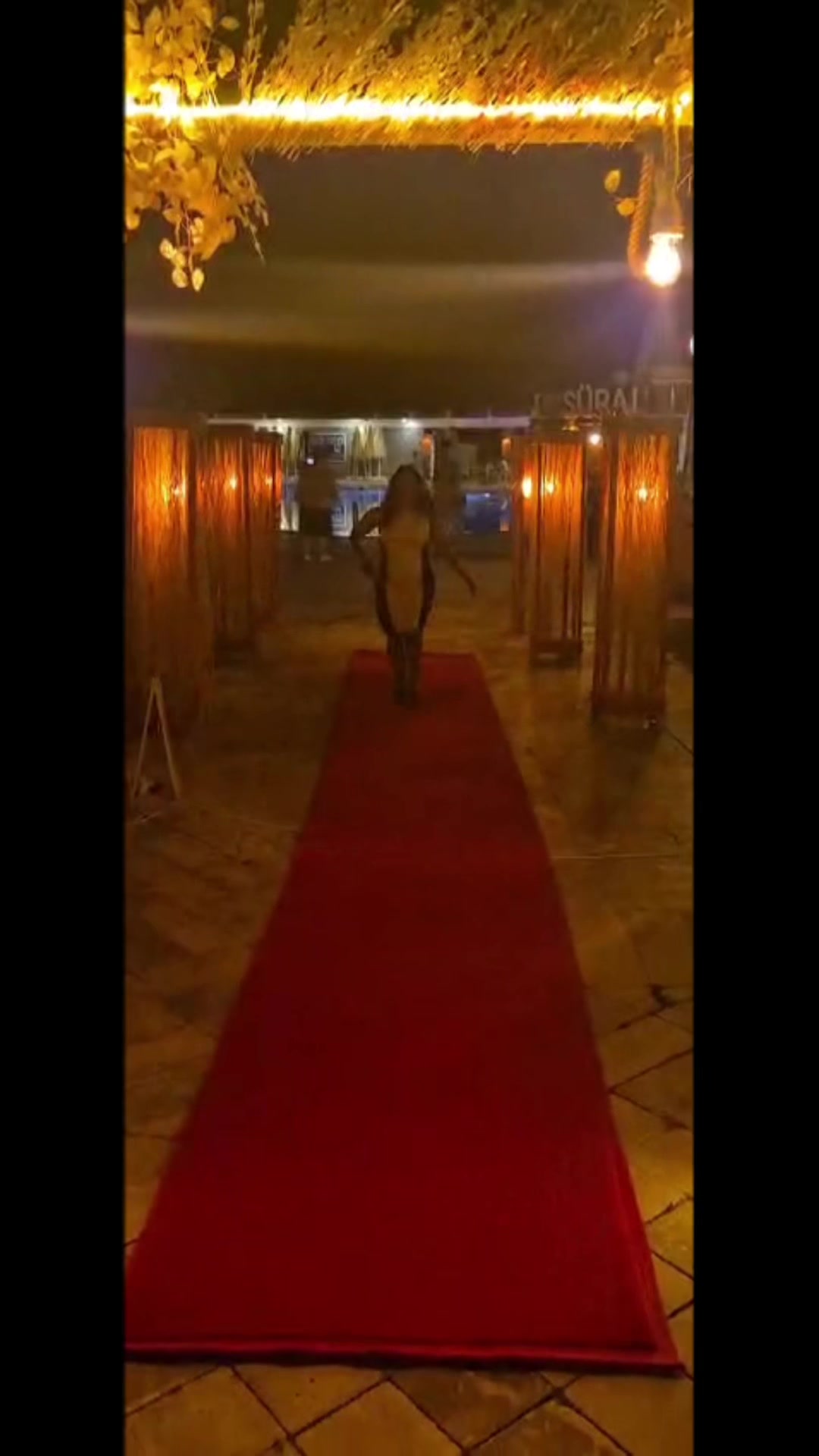 @svenya2806